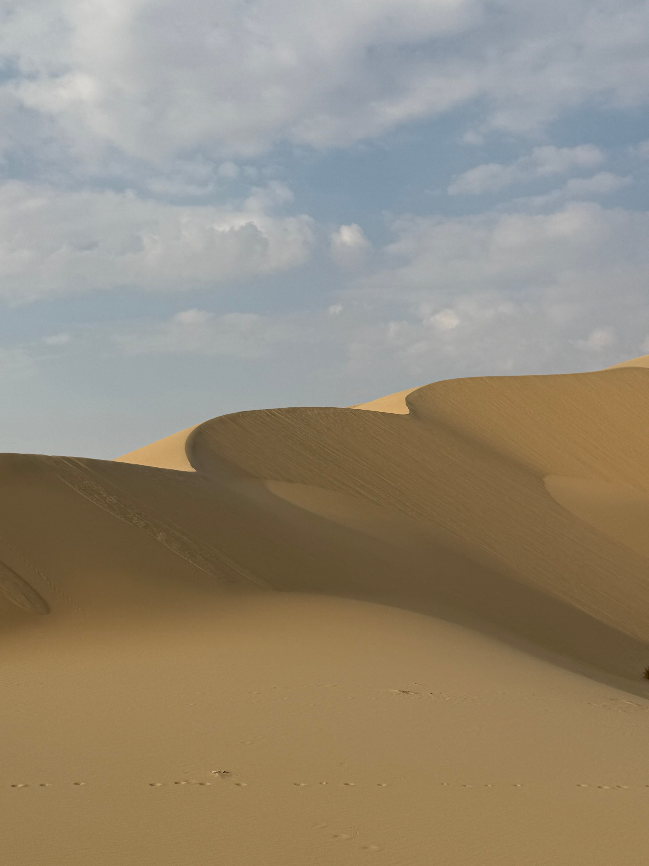 Special Offers. Family, fashion & event photographer in Doha