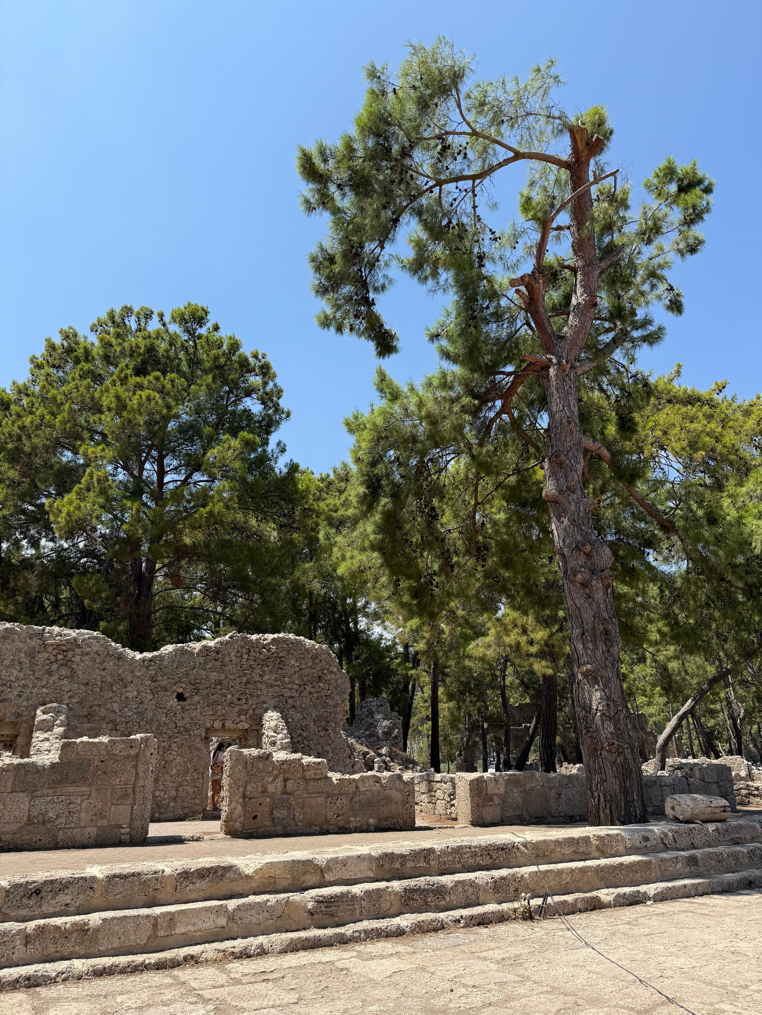 9 Tage in der Türkei: Entspannt und locker. Zwei Tage in jeder Stadt: Istanbul, Antalya, Kaş und ein Villenaufenthalt mit Bergblick