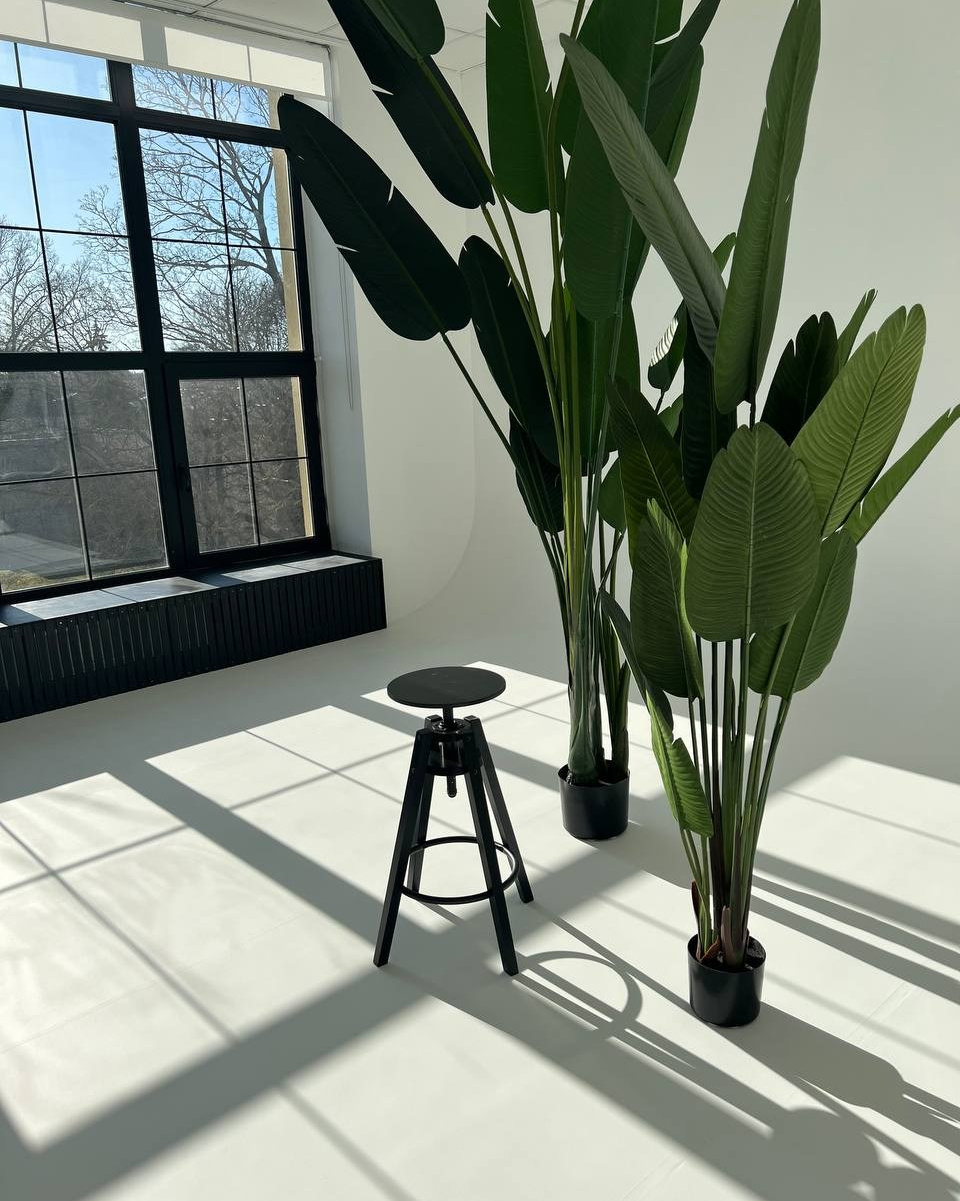 Fotostudijas īres cenas. Fotostudija VEF Rīga