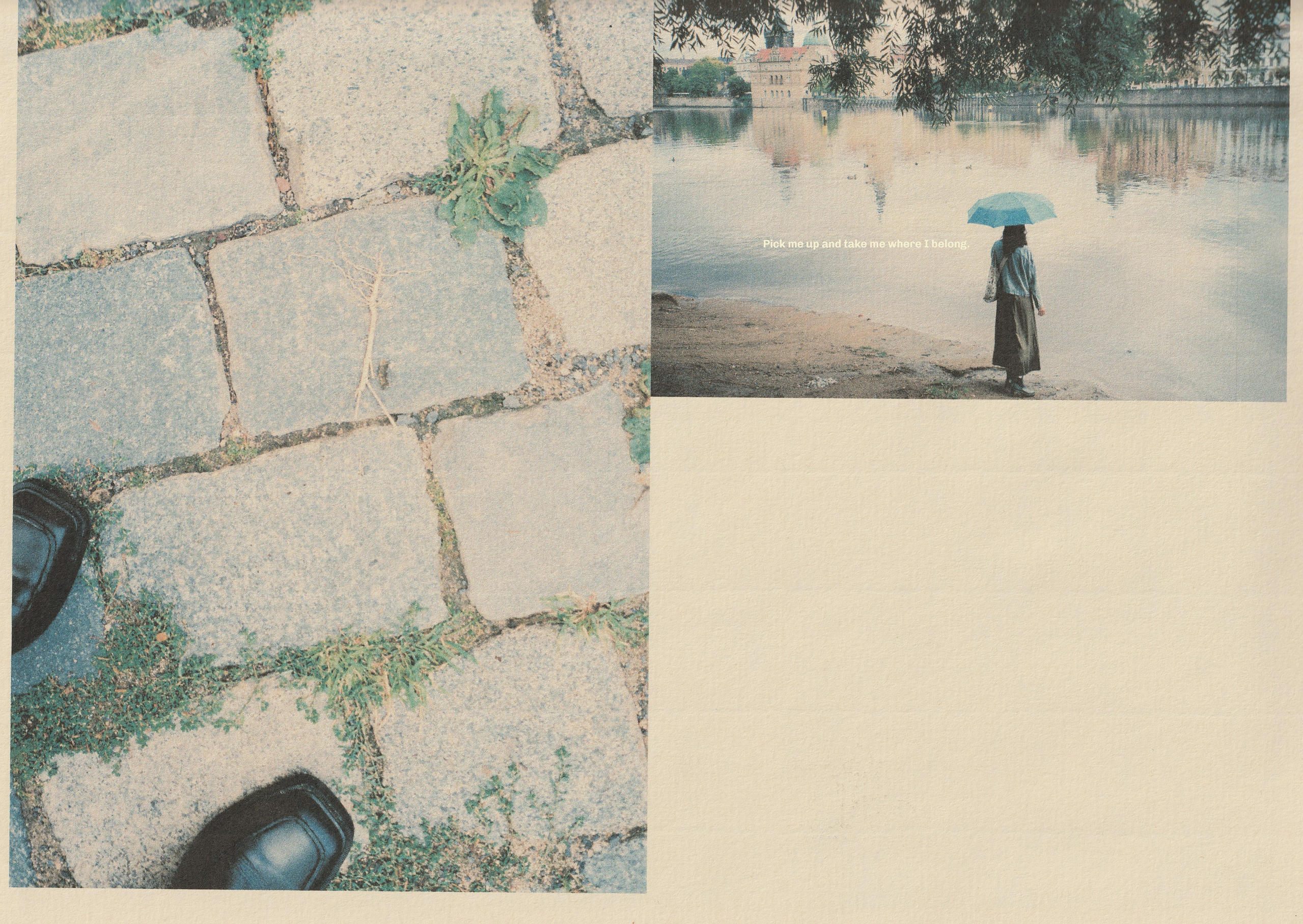 Nature: Through Vulnerability