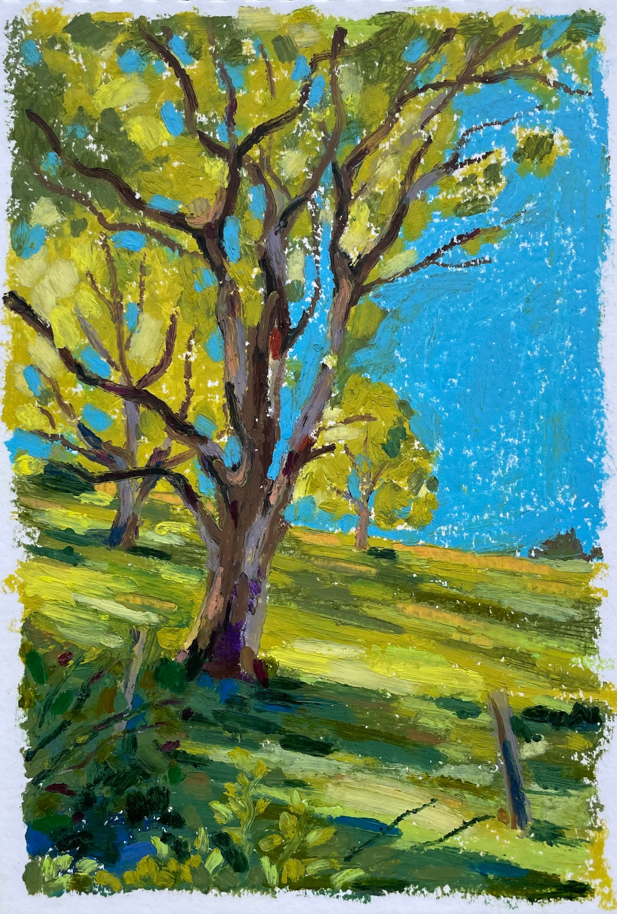 Galerie. Artiste Marina Semenova