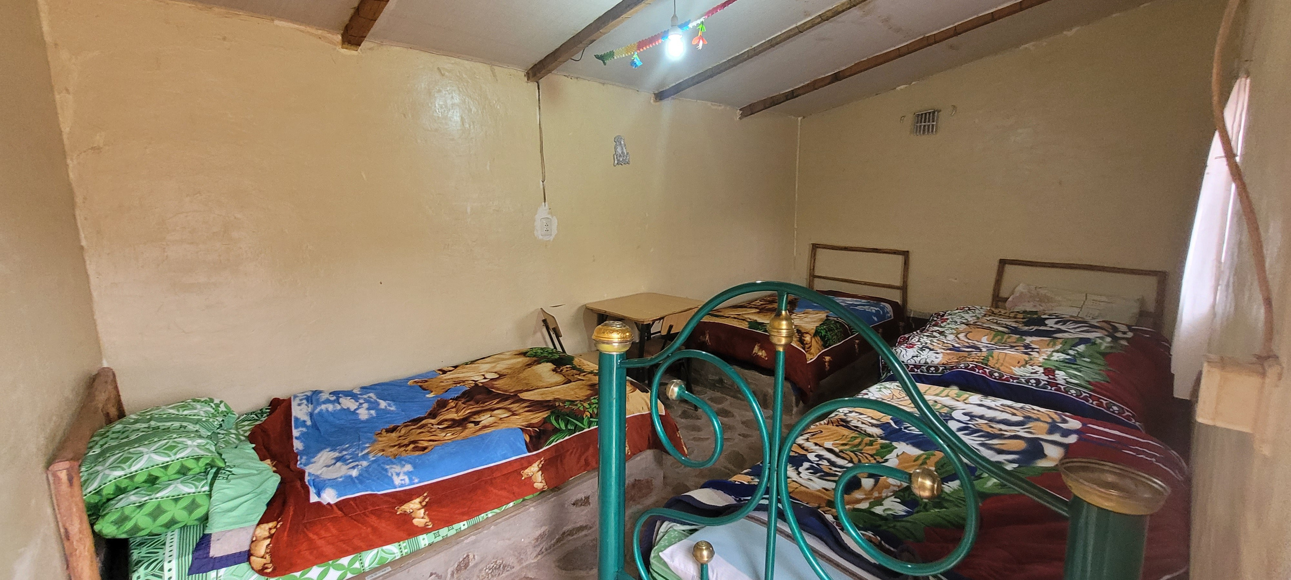 Bolivia Adventure — 2025. Pet, Senior, Landscape, portrait studio, photographer in Miami and Sou