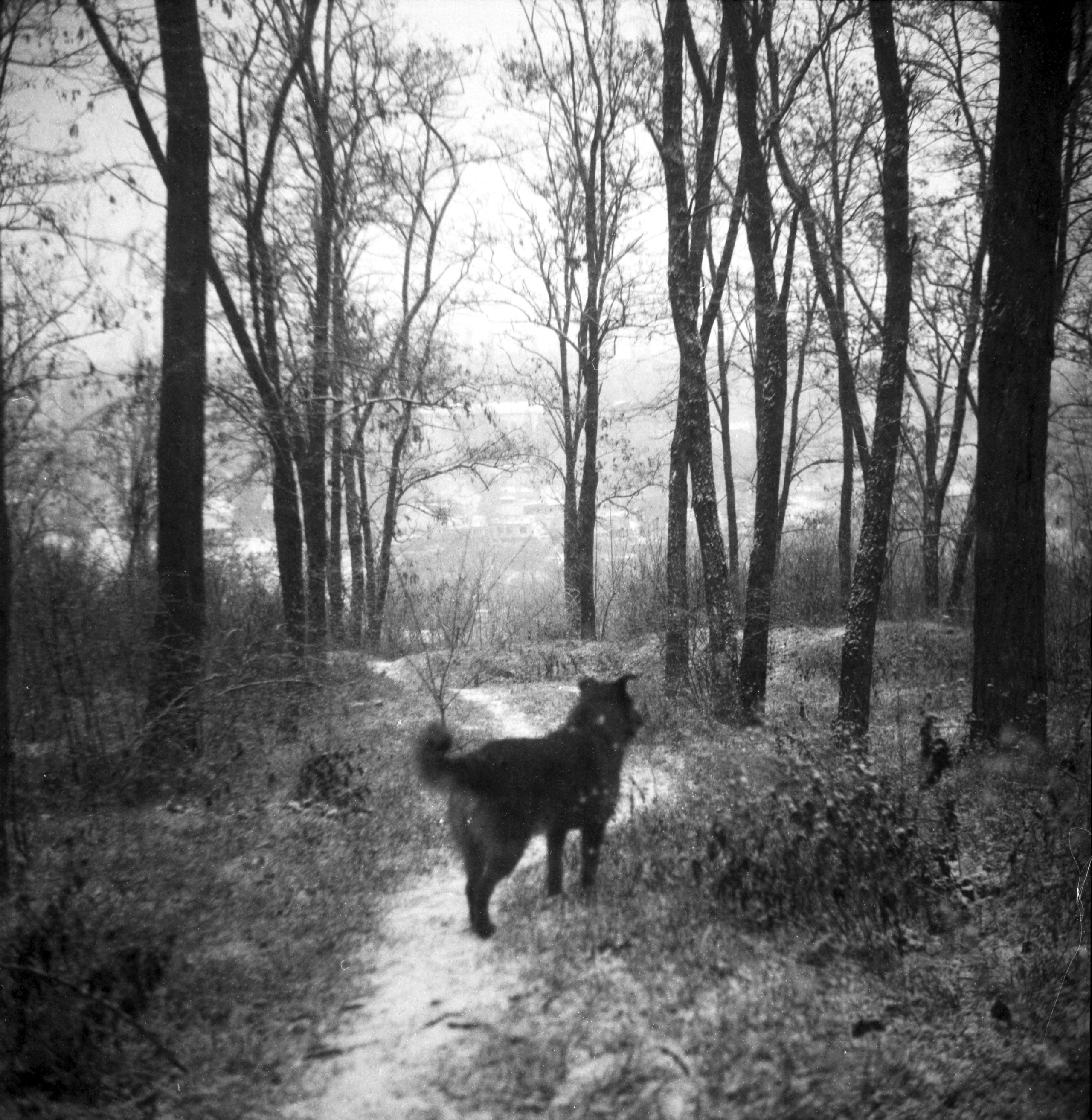 Natalia Parfenova visual artist film photographer