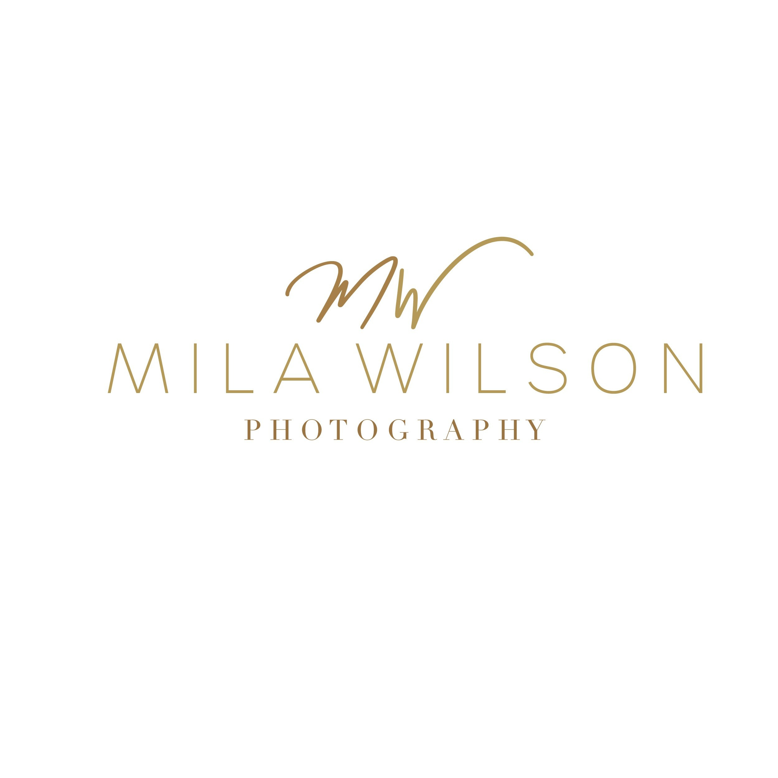 Guide highlighting the best engagement photo locations in South Carolina, including Greenville, Table Rock State Park, Lake Jocassee, and Charleston's Magnolia Plantation. Features scenic spots with tips for golden hour, seasonal highlights, and personalizing your session