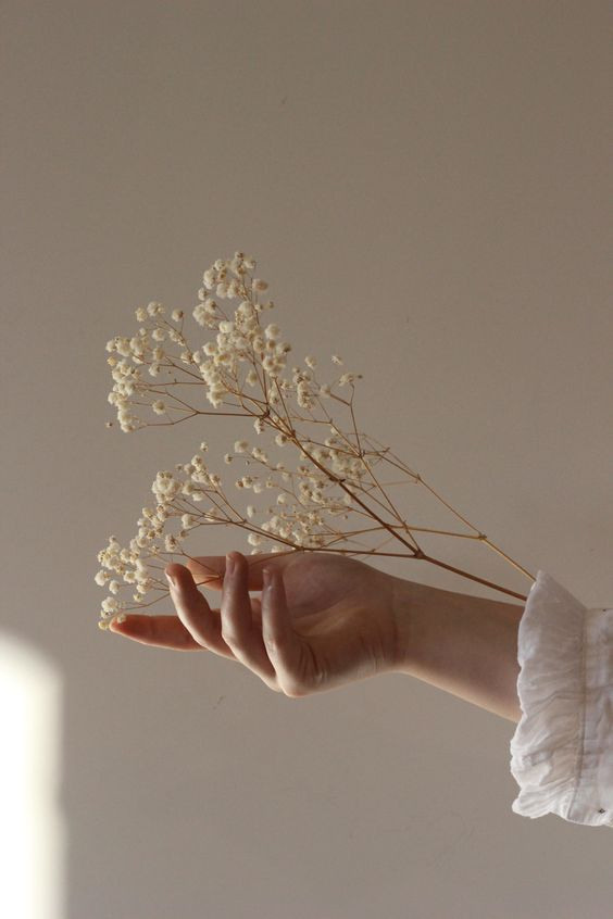 Ideas for photos with flowers. Wedding and portrait photographer in Beograd Ekaterina Makedonskaya