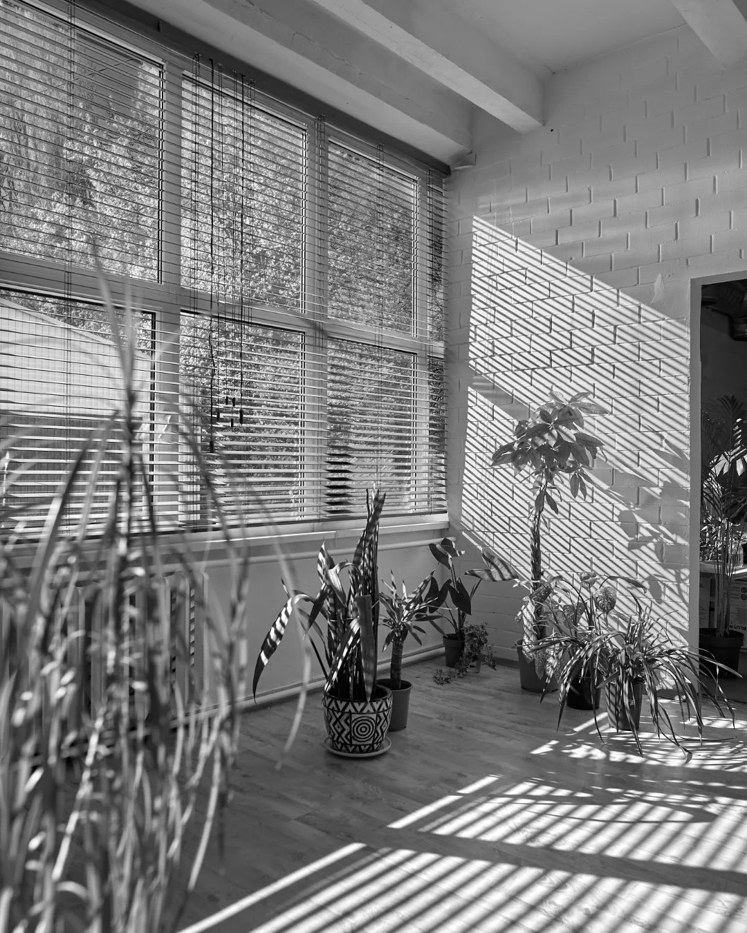 Студия. Фотограф Илона Иванова, Кондрашин студия, Рига