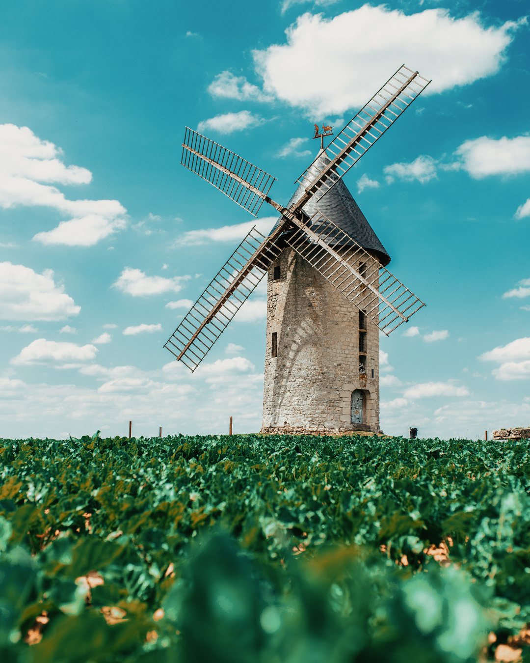 🏡. Mark Smilyanic | Portrait and Adventure Photographer from Belgrade