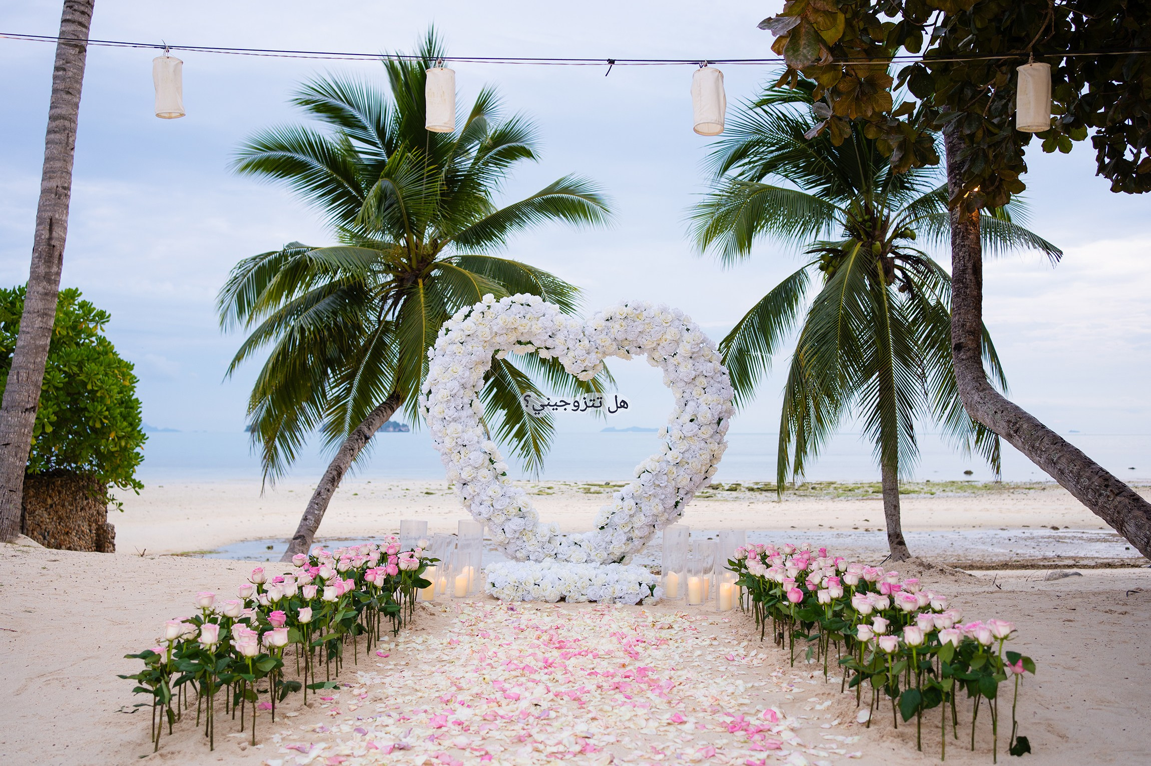 Packages. Romantic proposal on Koh Samui, Thailand