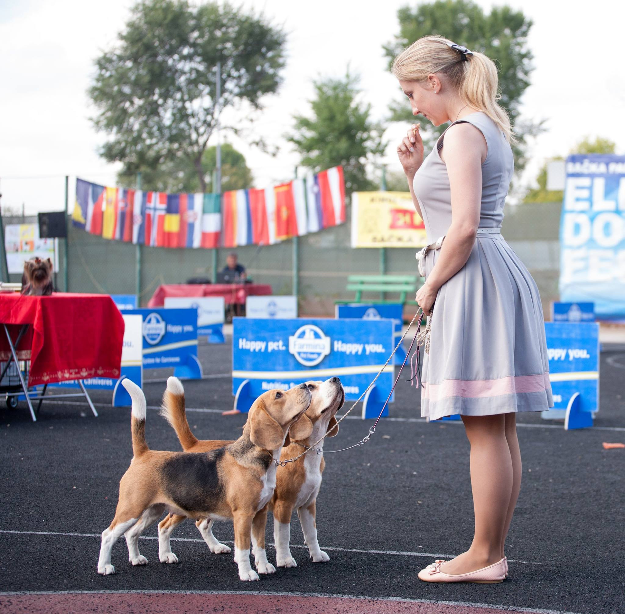 About. Pet photographer Kateryna Mumzhynska