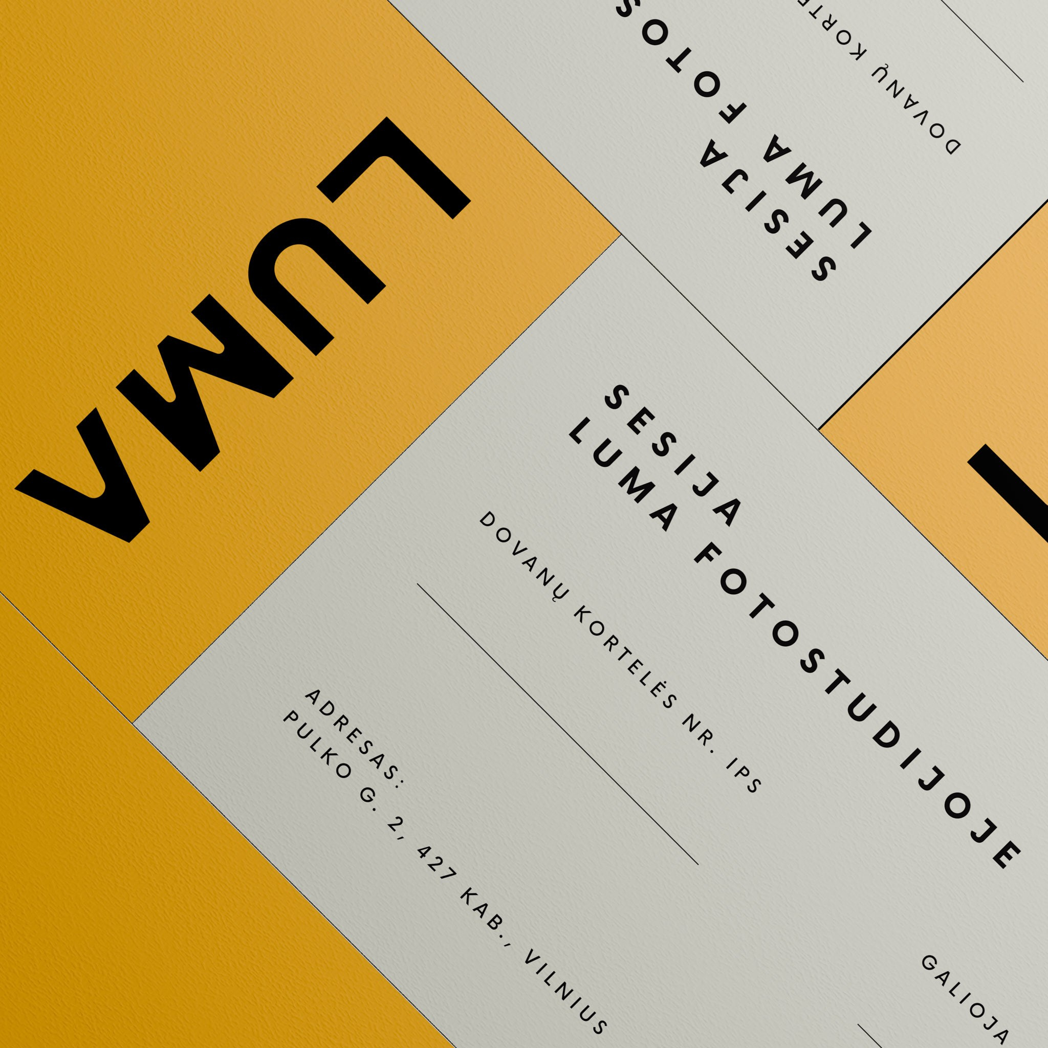 Fotosesija su augintiniu Vilniuje