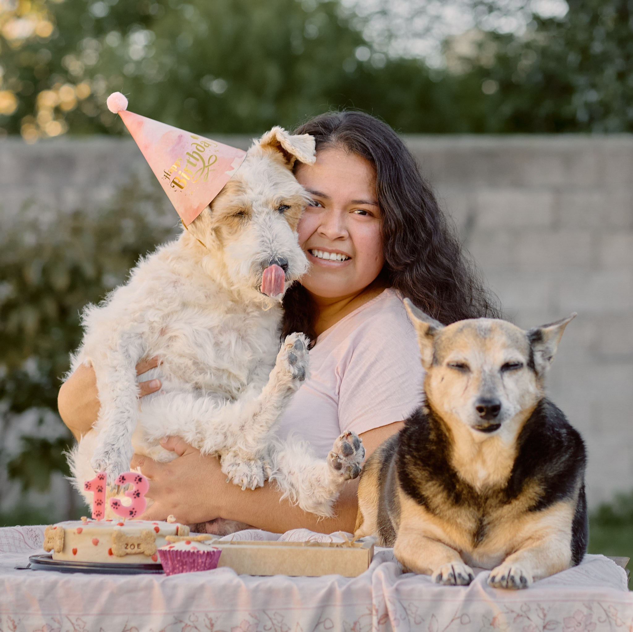 Zoe cumple 13 años: una celebración íntima desde la mirada de un fotógrafo de mascotas. Valssy – Fotografía de mascotas en Uruguay. Retratos profesionales de perros y gatos