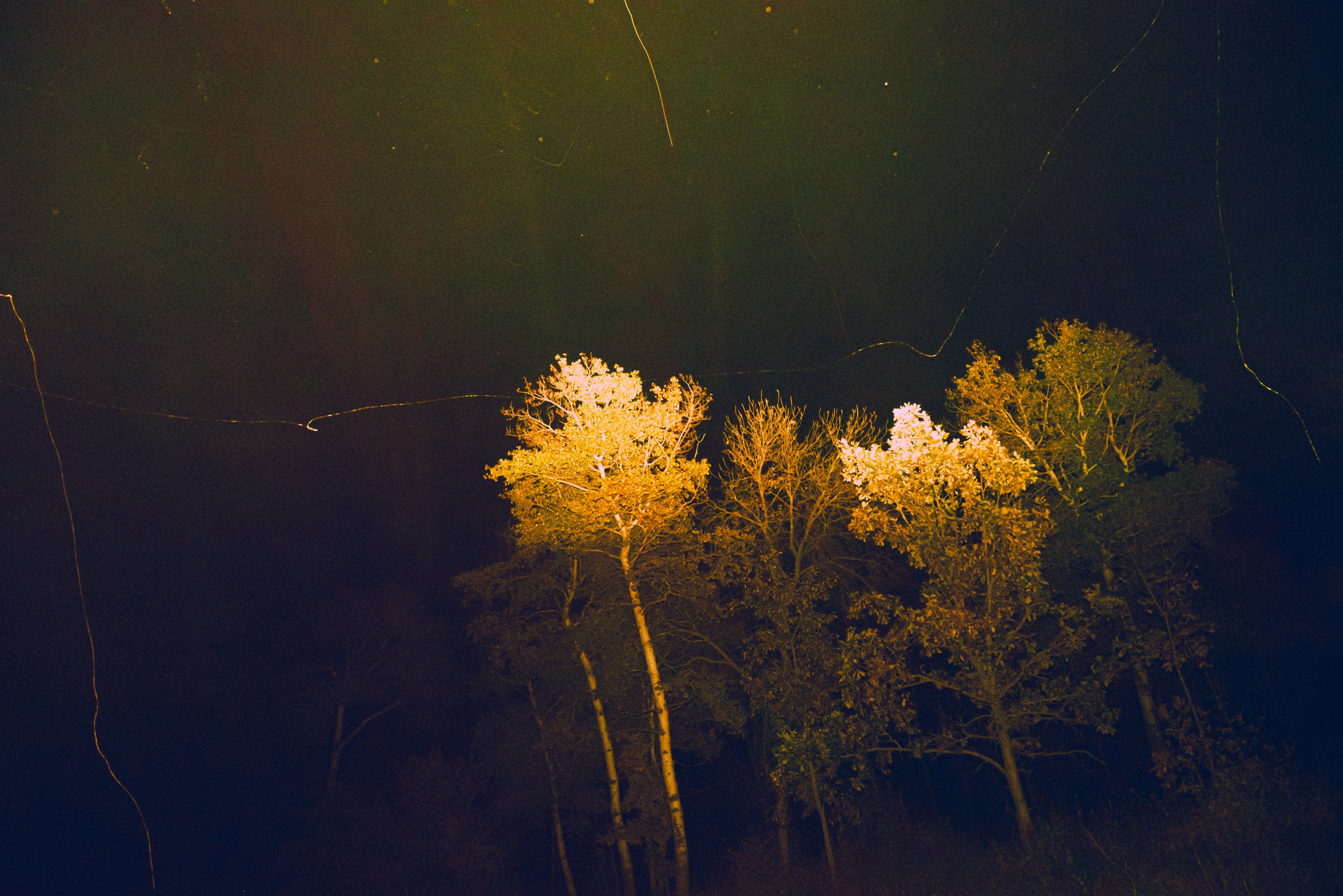 Landscape / Abstraction. Ekaterina Tsurkina-Appina Photography Canada