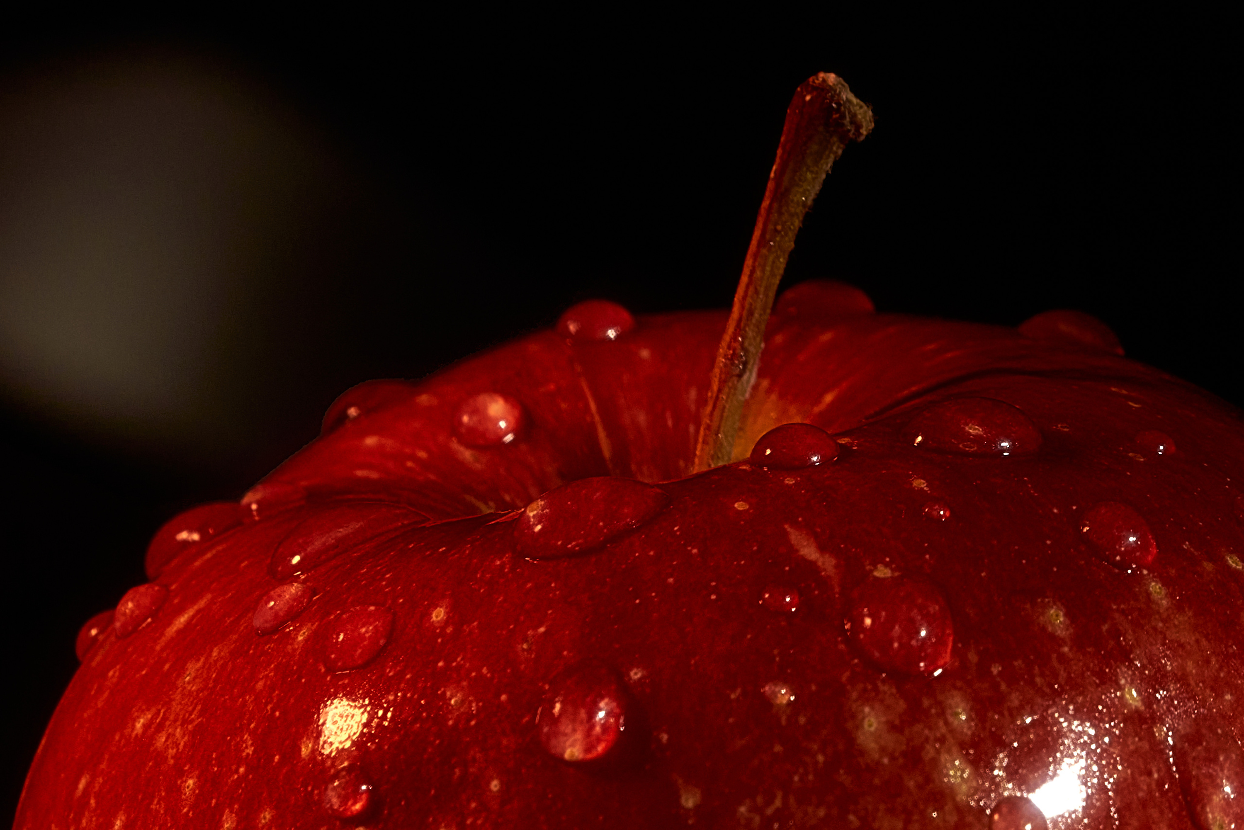 Красное яблоко с каплями росы, макро.