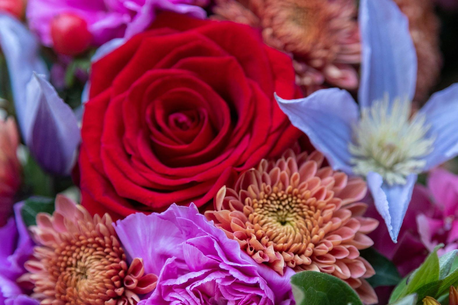 Akropolis Blomster – Gode råd til valg og pleje af roserHos Akropolis Blomster hjælper vi dig med at vælge de bedste roser til enhver lejlighed. Få ekspertråd om, hvordan du plejer roser, så de forbliver friske og smukke i lang tid. Vi deler vores bedste tips til vanding, opbevaring og beskæring af dine roser.