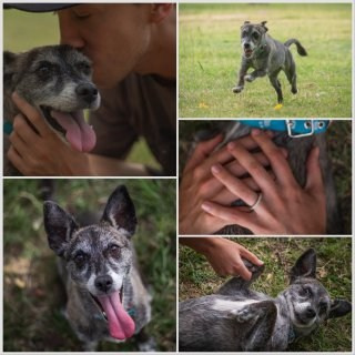 Fotógrafo en Mendoza Alexander Safonov