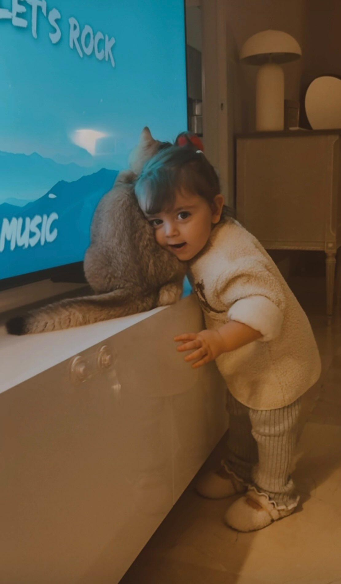 Дети и кошки. Питомник британских кошек драгоценных окрасов