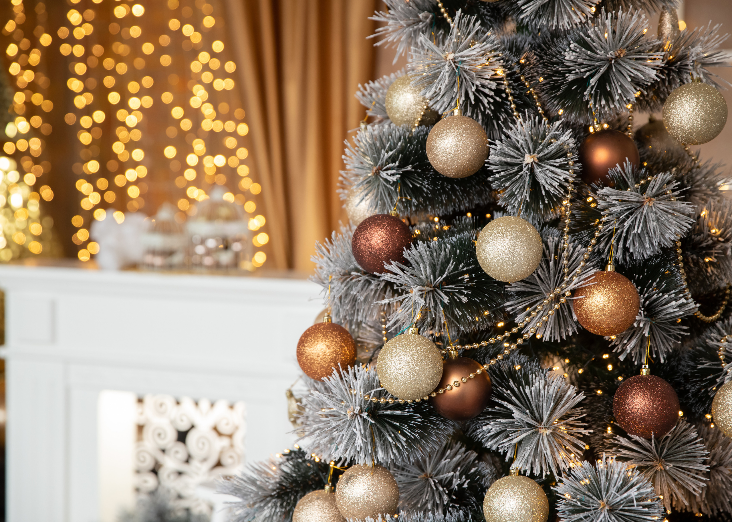 Фотостудия PHOTOROOM. Pere-, laste-, koolifotograaf Narvas, Eestis, Zoja Husainova