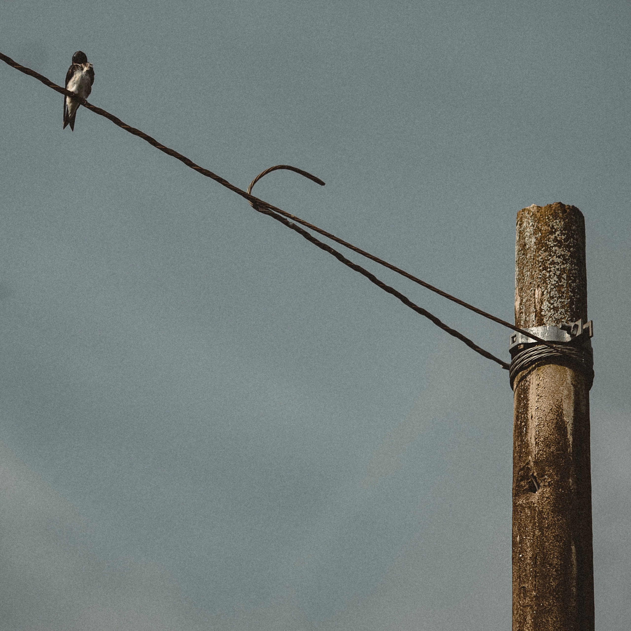 Sobre. Prazer, eu sou o Tiago Mokrejs, apaixonado por fotografia e café