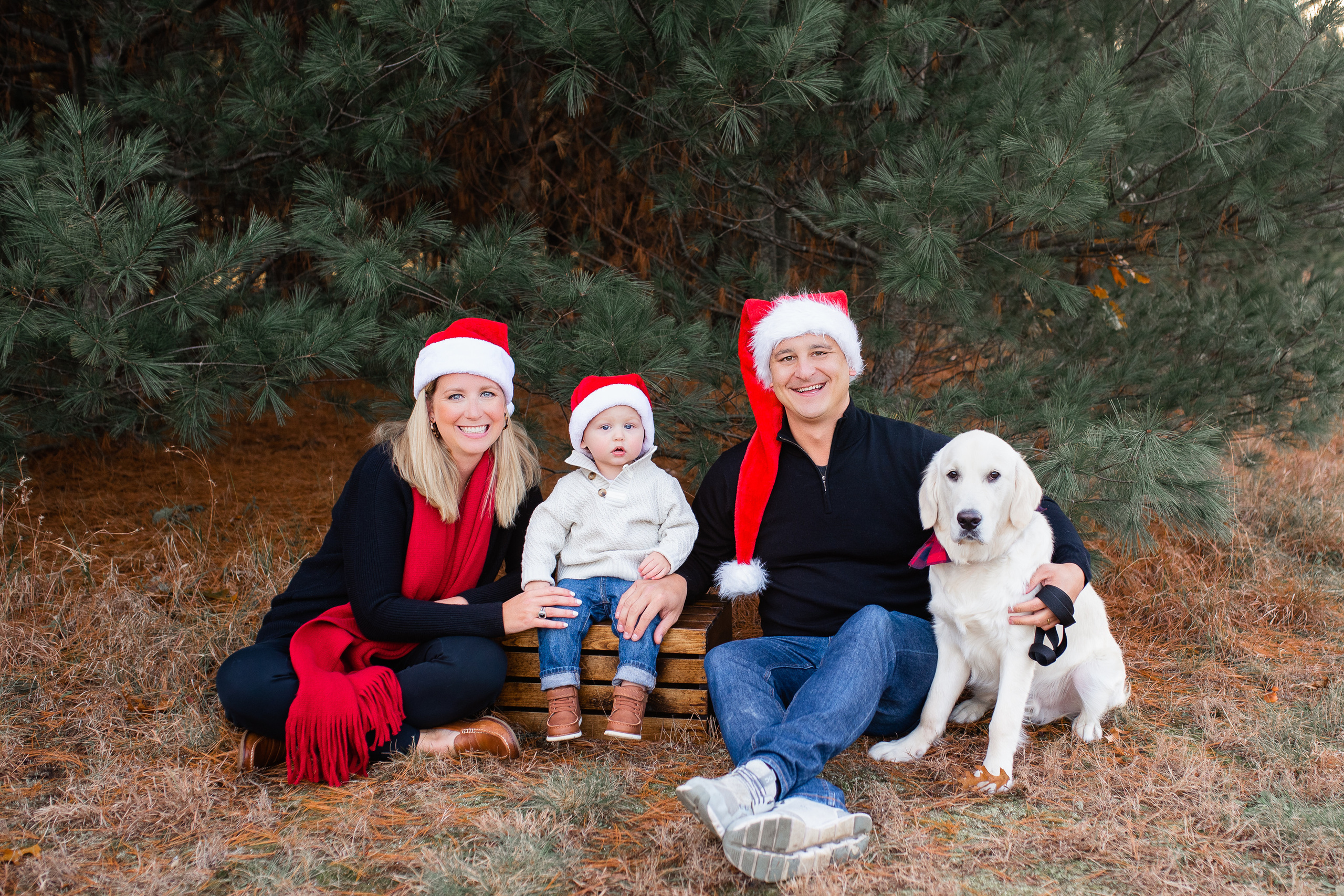 Christmas mini sessions. Family and kids photographer Anastasiya Hanush in Massachusetts