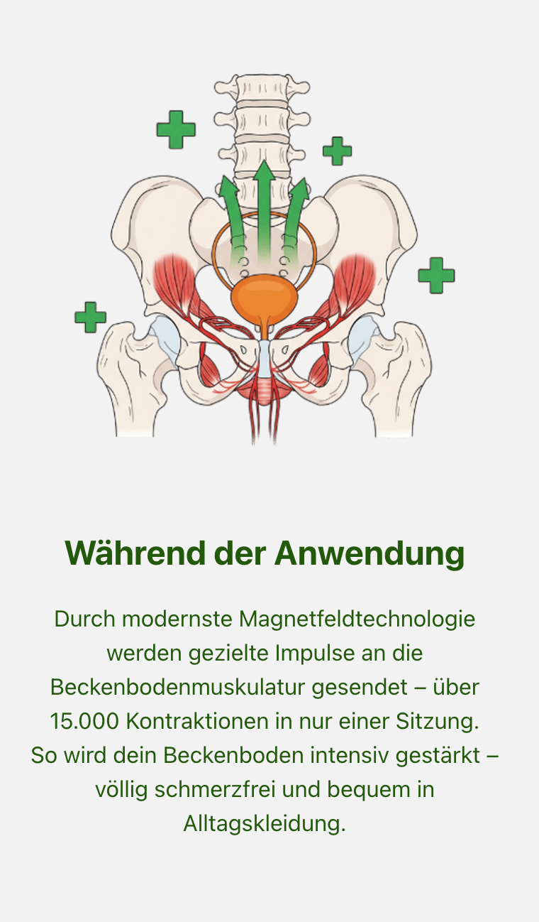 Für Frauen. Gesundheitszentrum Lena Nozar — PowerChair Behandlung in Werne & NRW