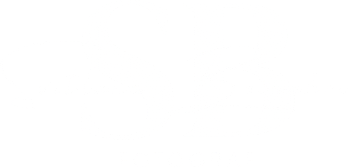 svitlanaboinehri.wfolio.pro