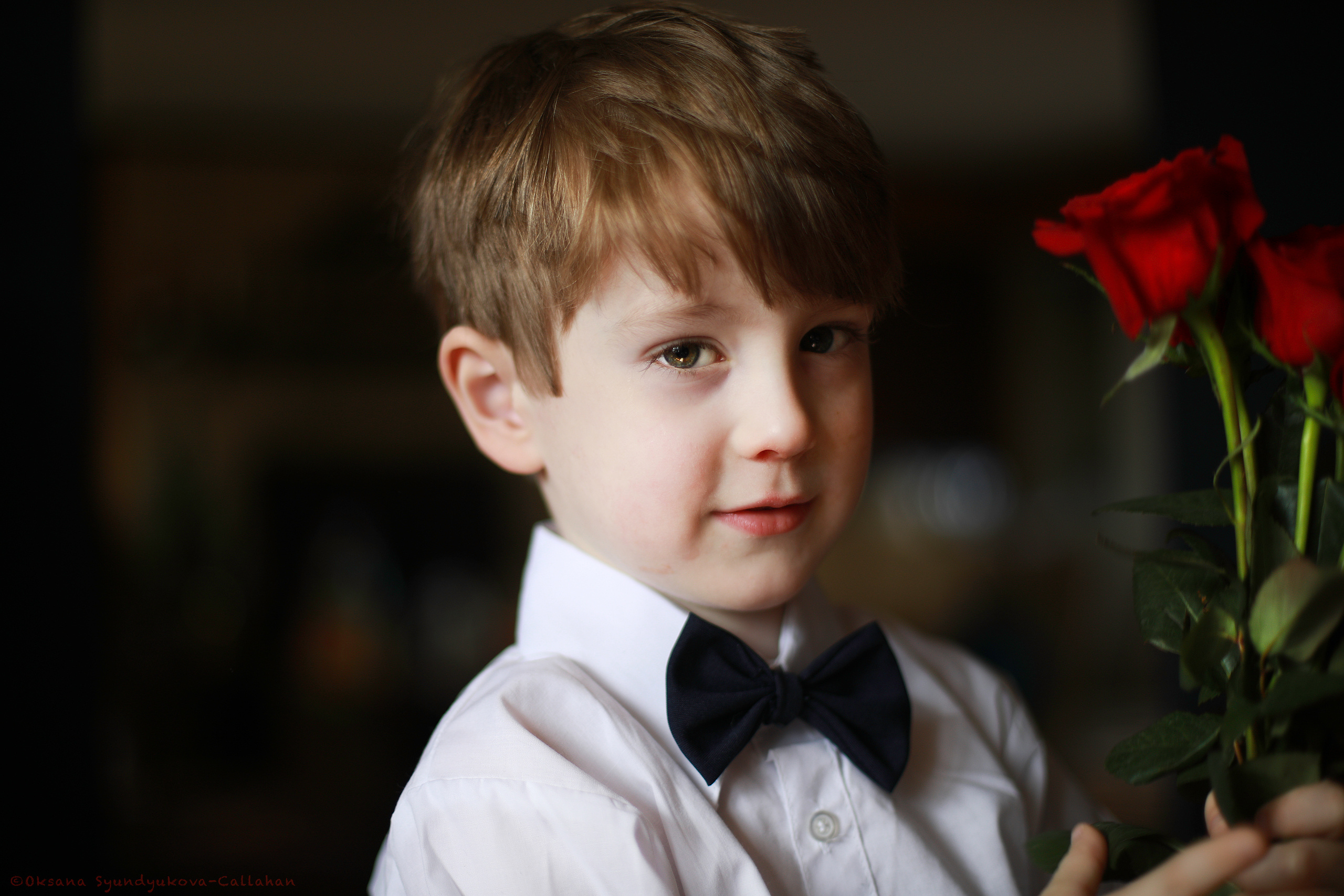 出張カメラマン 七五三 753 家族写真 家族 子供 記念写真 山梨県 東京 静岡 長野. Kids and Family Photographer in Japan 子供と家族の撮影 日本