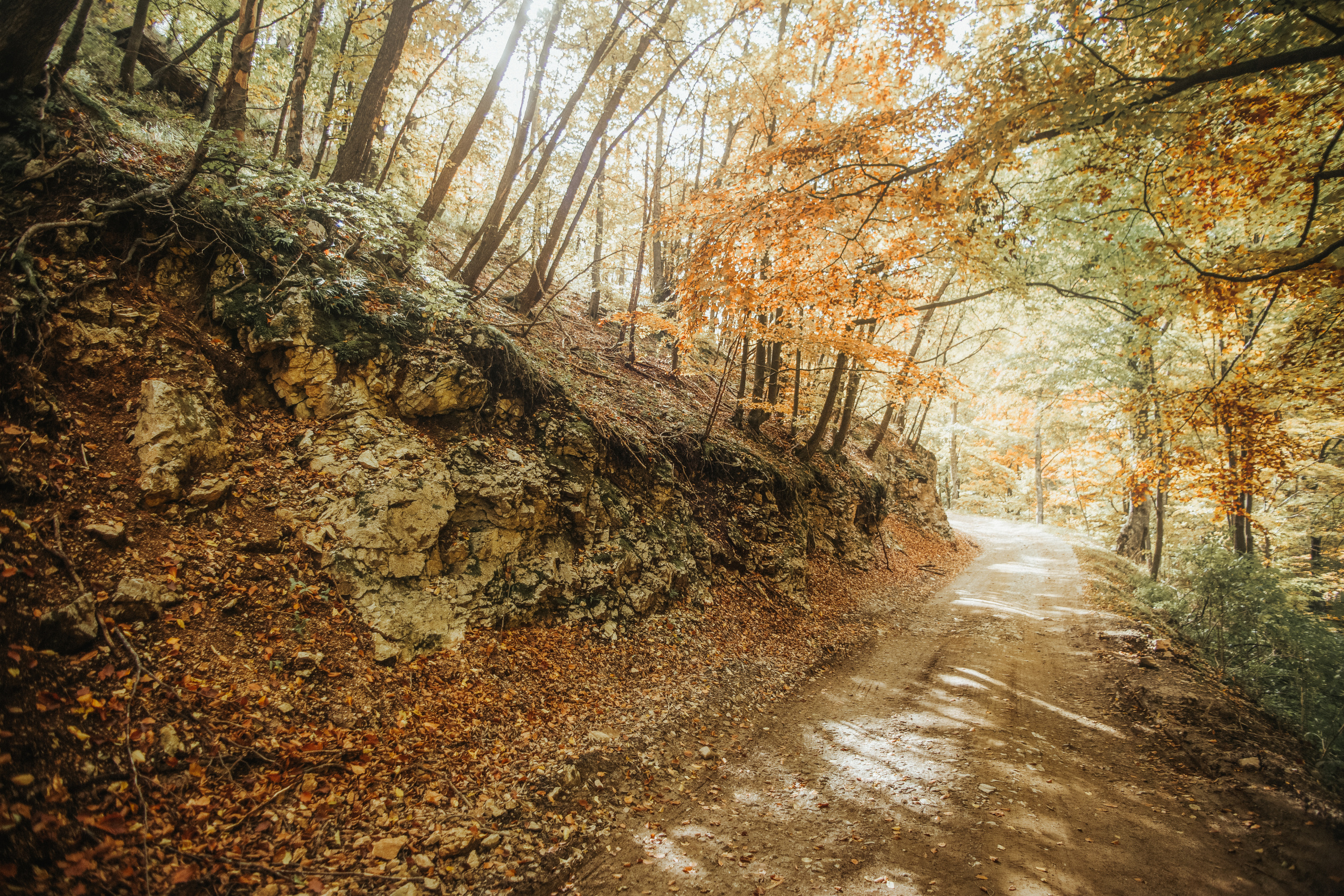Searching for my Roots. Mark Smilyanic | Portrait and Adventure Photographer from Belgrade