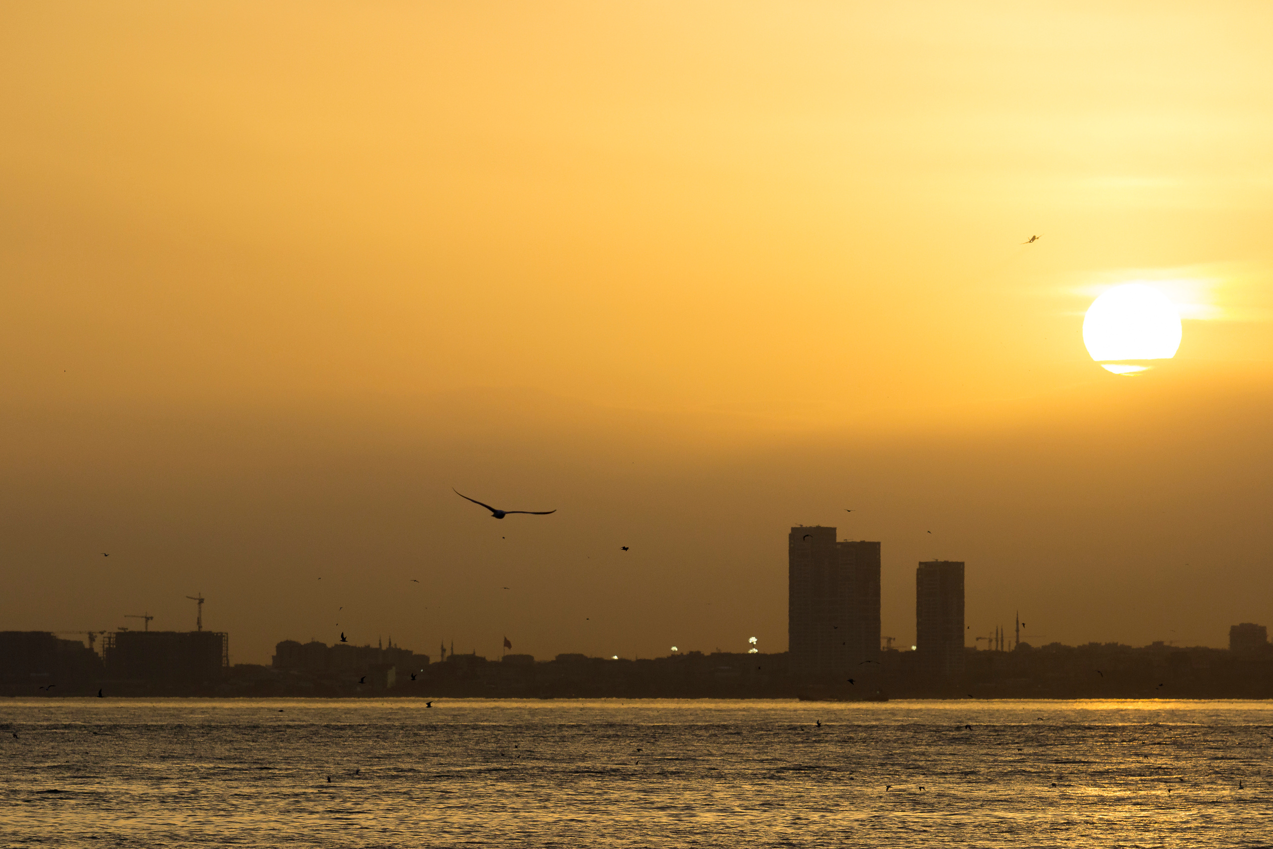 Istambul. Photographer ~ based in vilnius ~