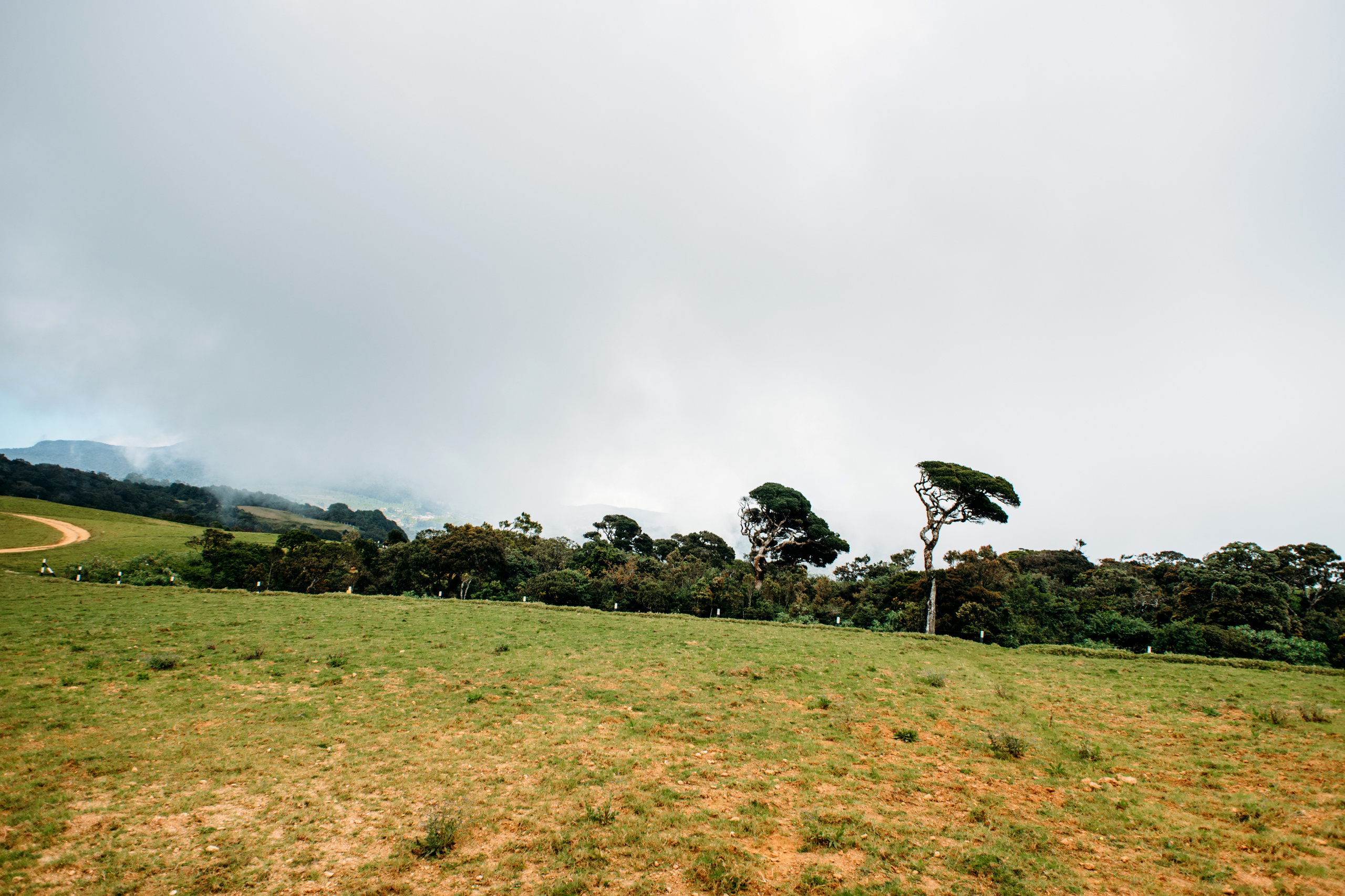 Wedding family photographer Alicante Benidorm Valencia Costa Blanca
