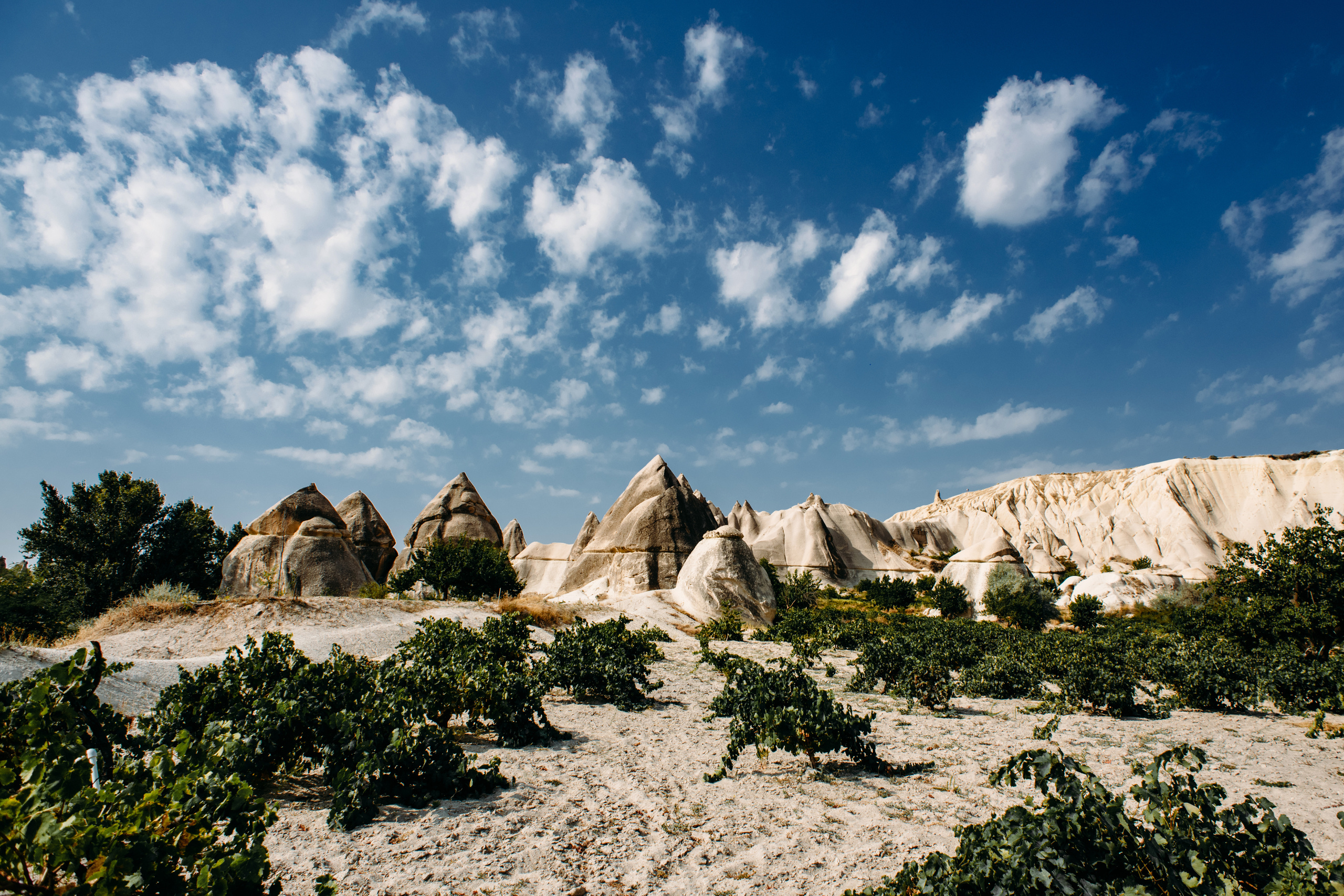 Wedding family photographer Alicante Benidorm Valencia Costa Blanca