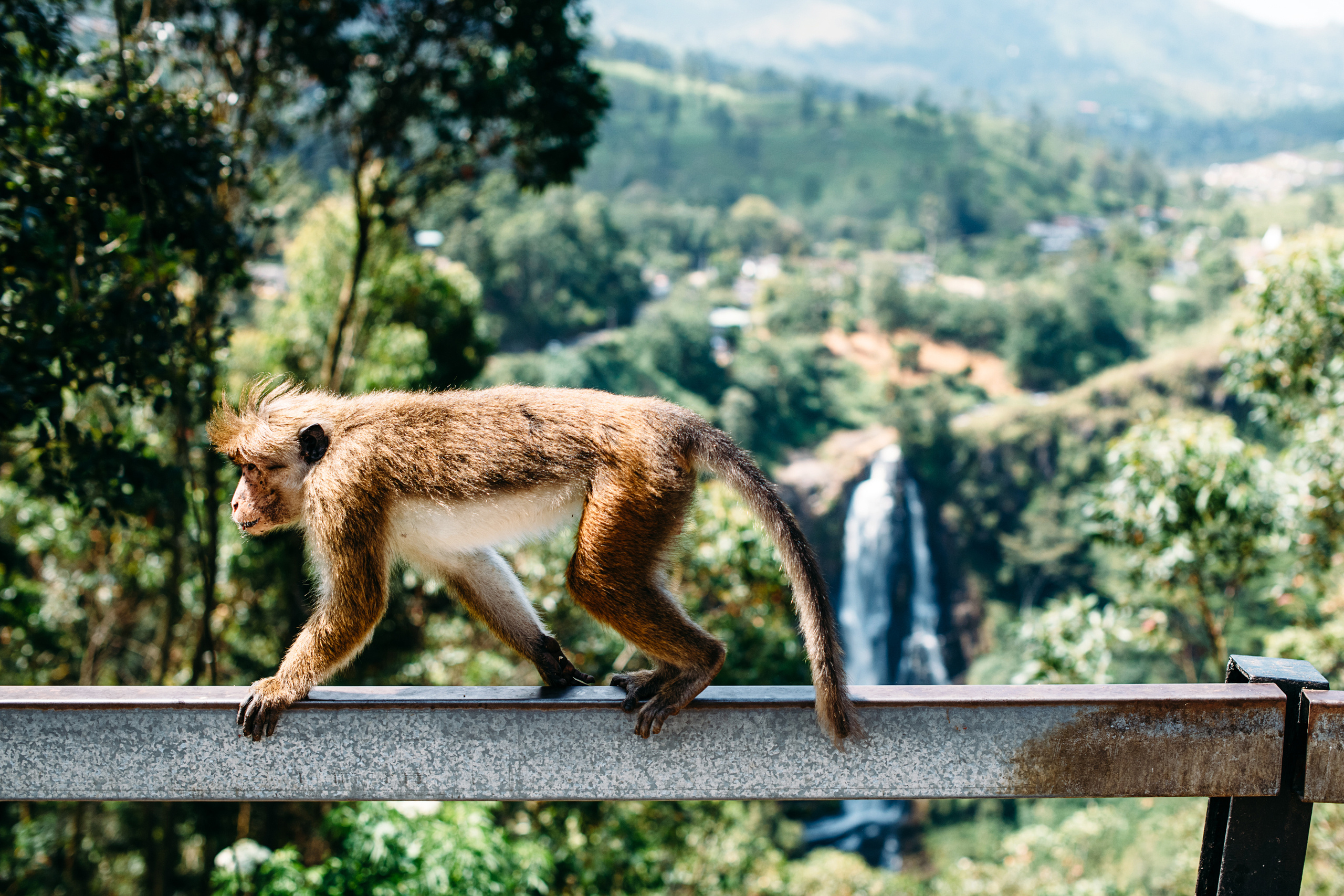 Wedding family photographer Alicante Benidorm Valencia Costa Blanca