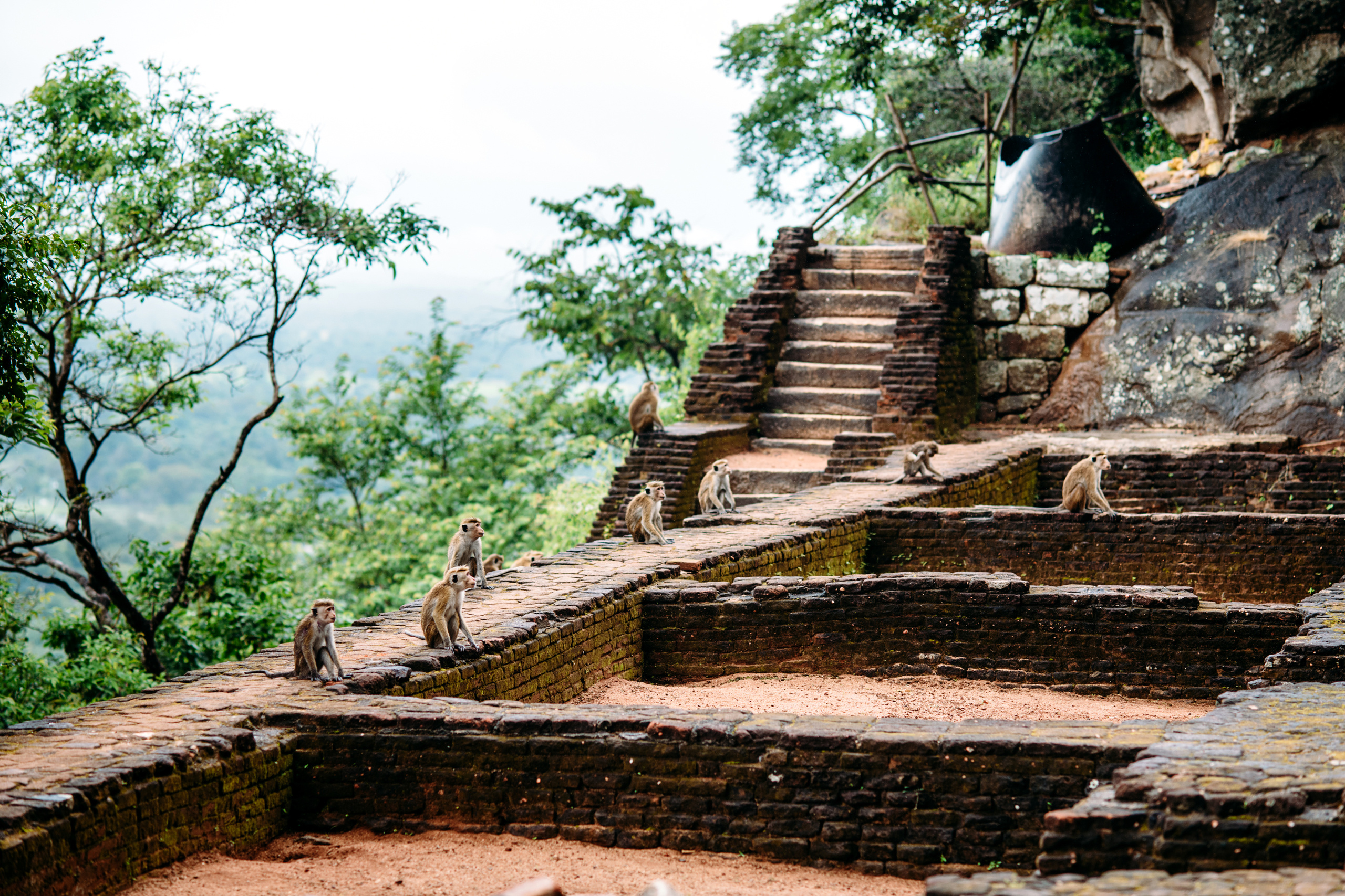 Wedding family photographer Alicante Benidorm Valencia Costa Blanca