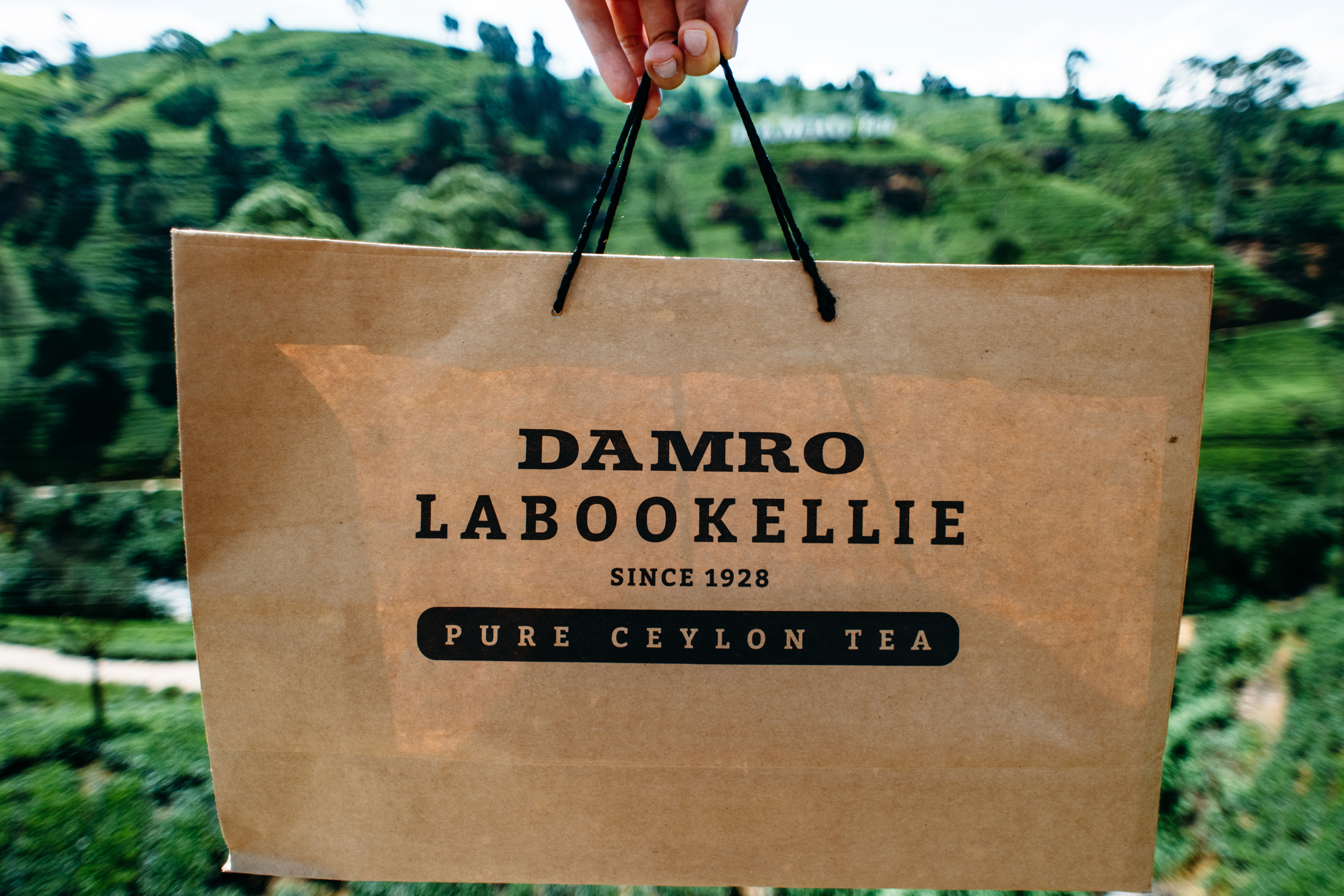 Wedding family photographer Alicante Benidorm Valencia Costa Blanca