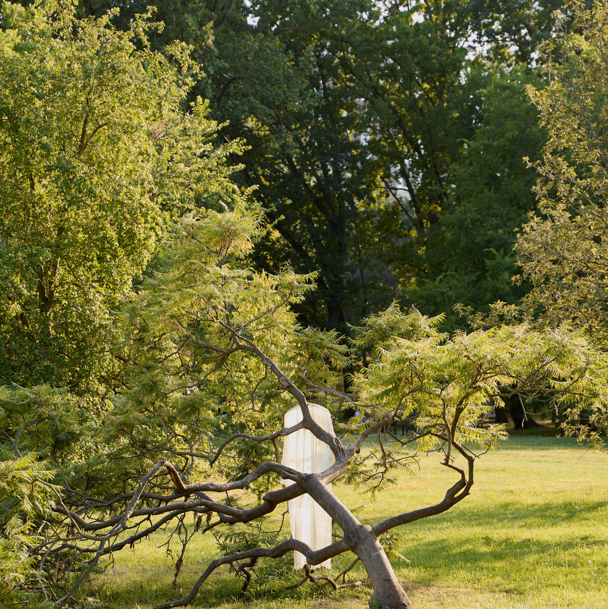 Давай знакомиться. Привет