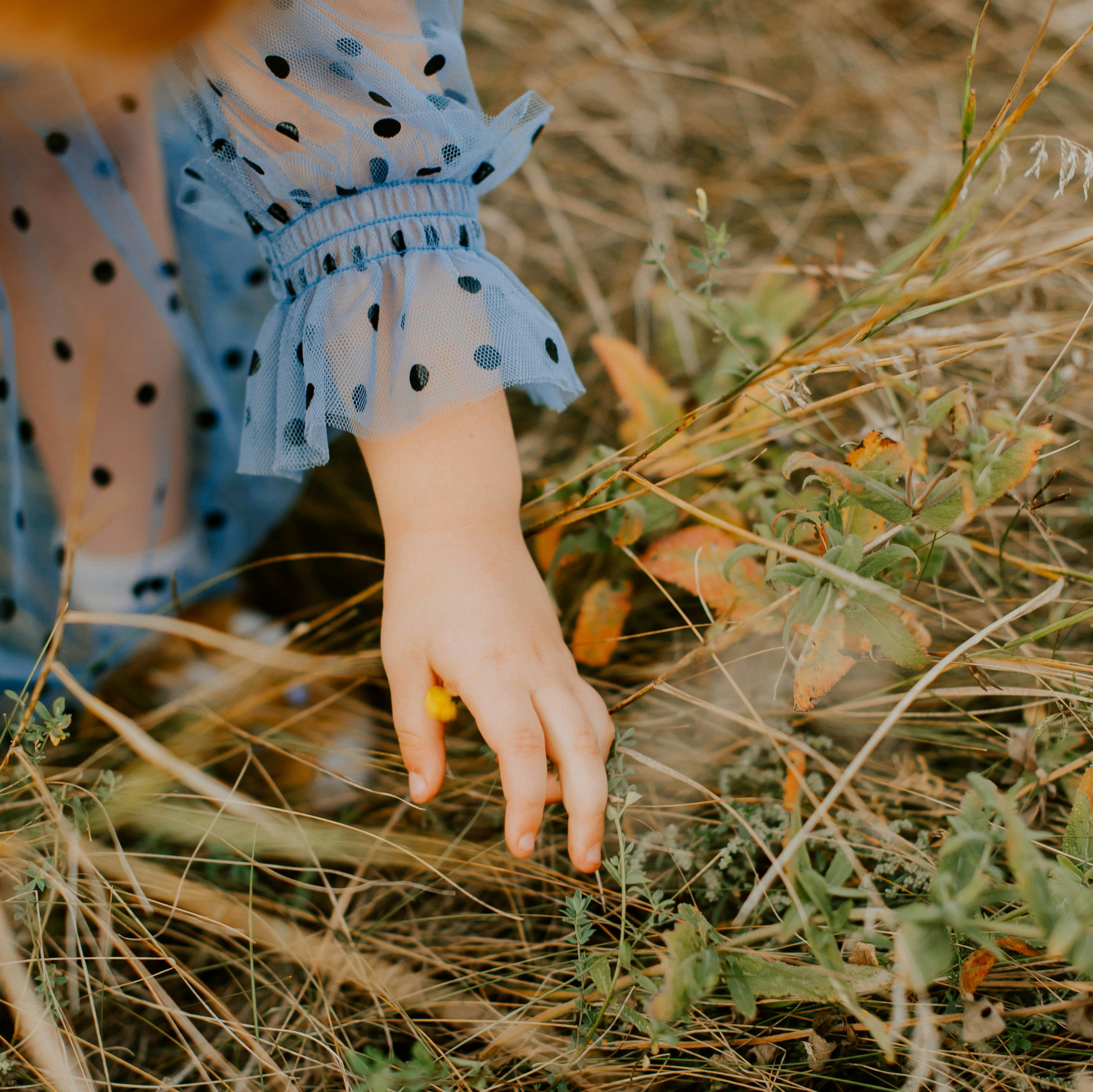 Cacciatori di Meraviglie | Servizio Fotografico Primaverile per Famiglie