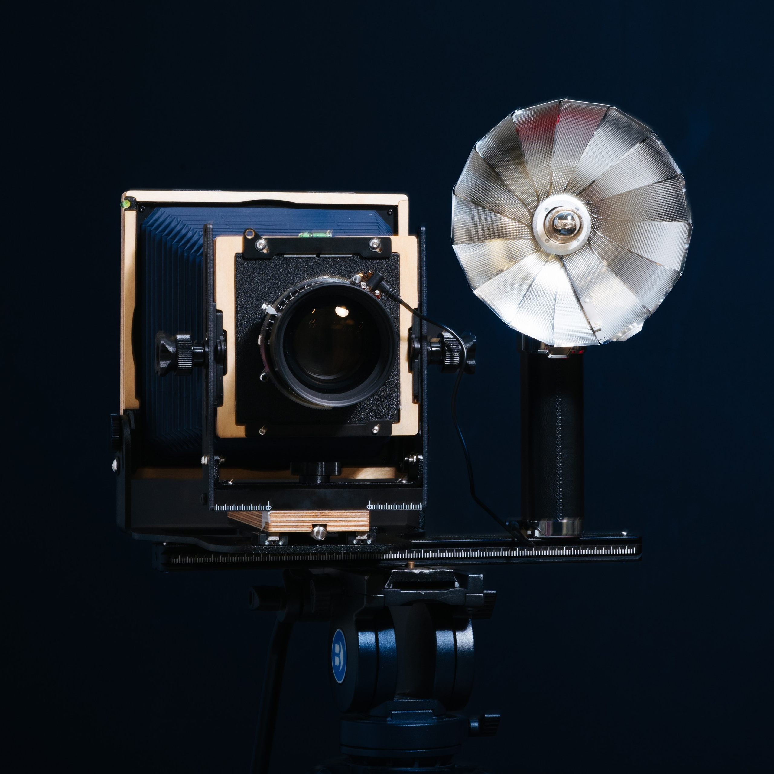 Eternal Analogue. Emma Joy Photography