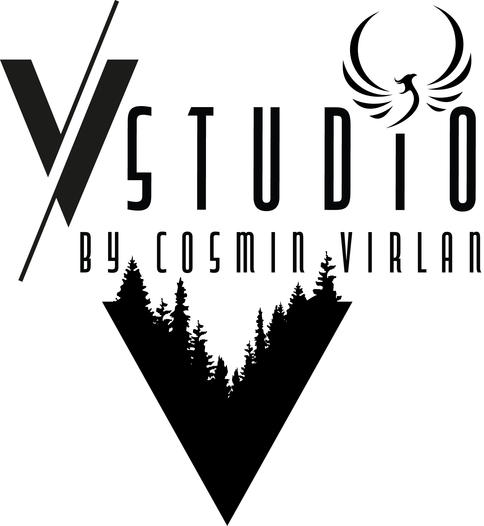 Studio. Cosmin Virlan - Fotograf de eveniment din Târgoviște