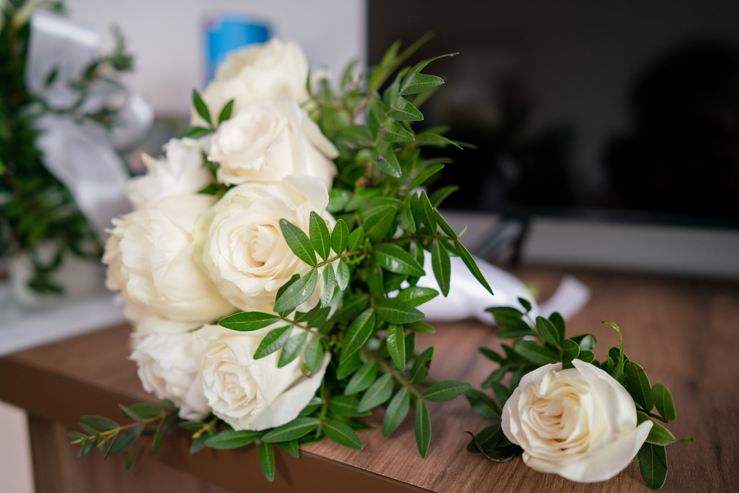 Contact. MGA STUDIO ART — Fotograf evenimente