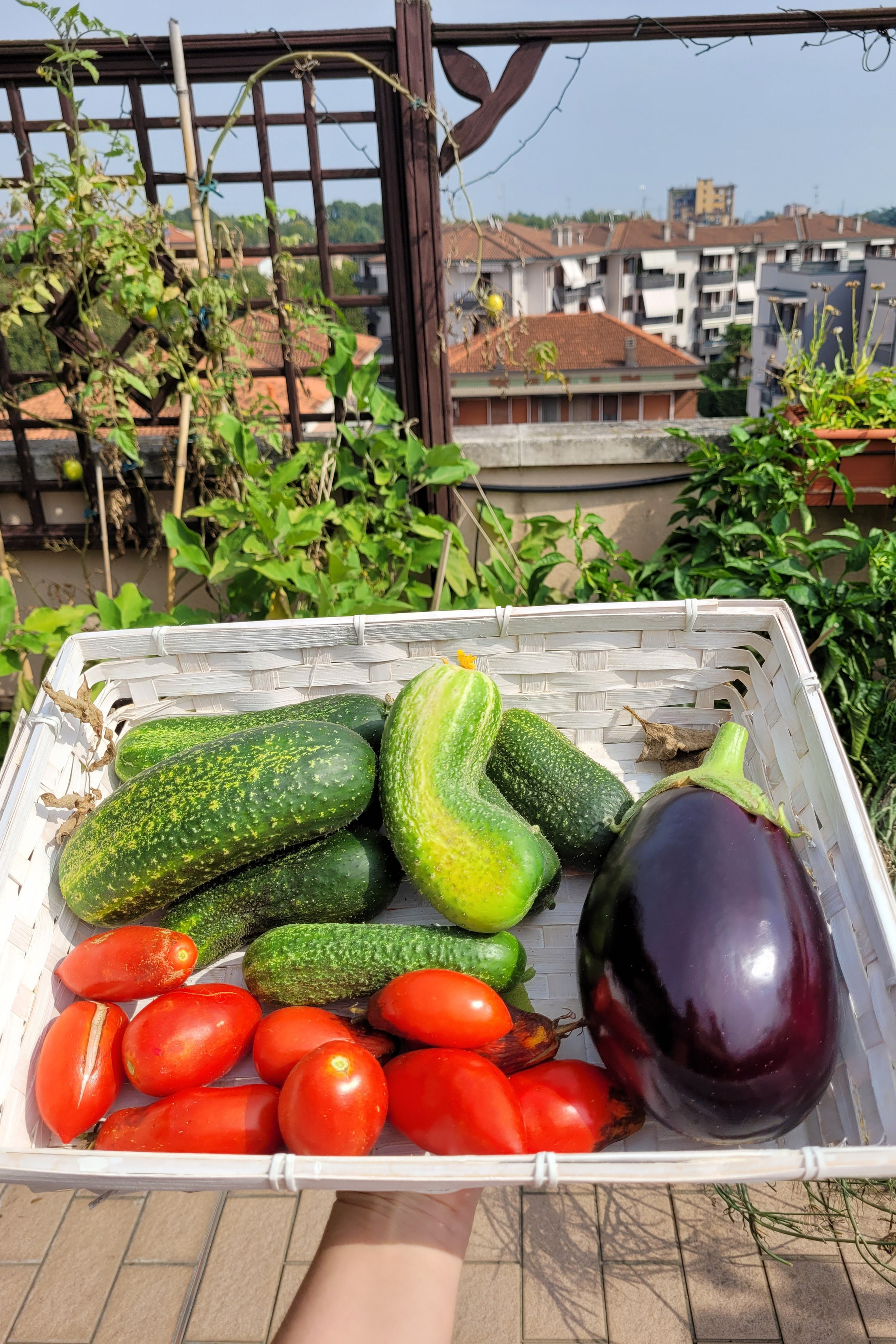 About. Gaia Li Mandri photography