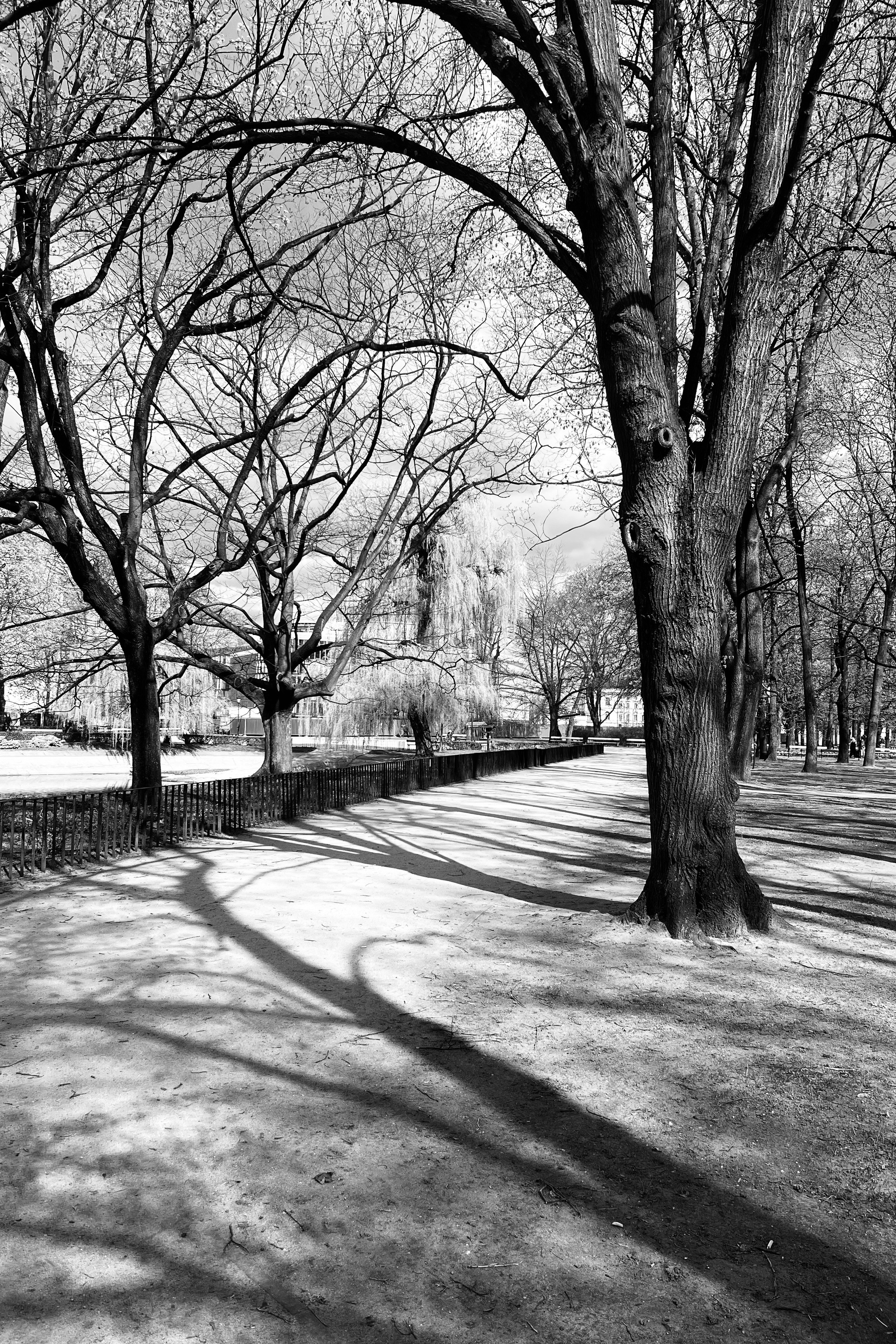 Miasto, które mijam. Olga Kępka-Peryt|Naturalna fotografia portretowa i lifestyle|Warszawa i okolice