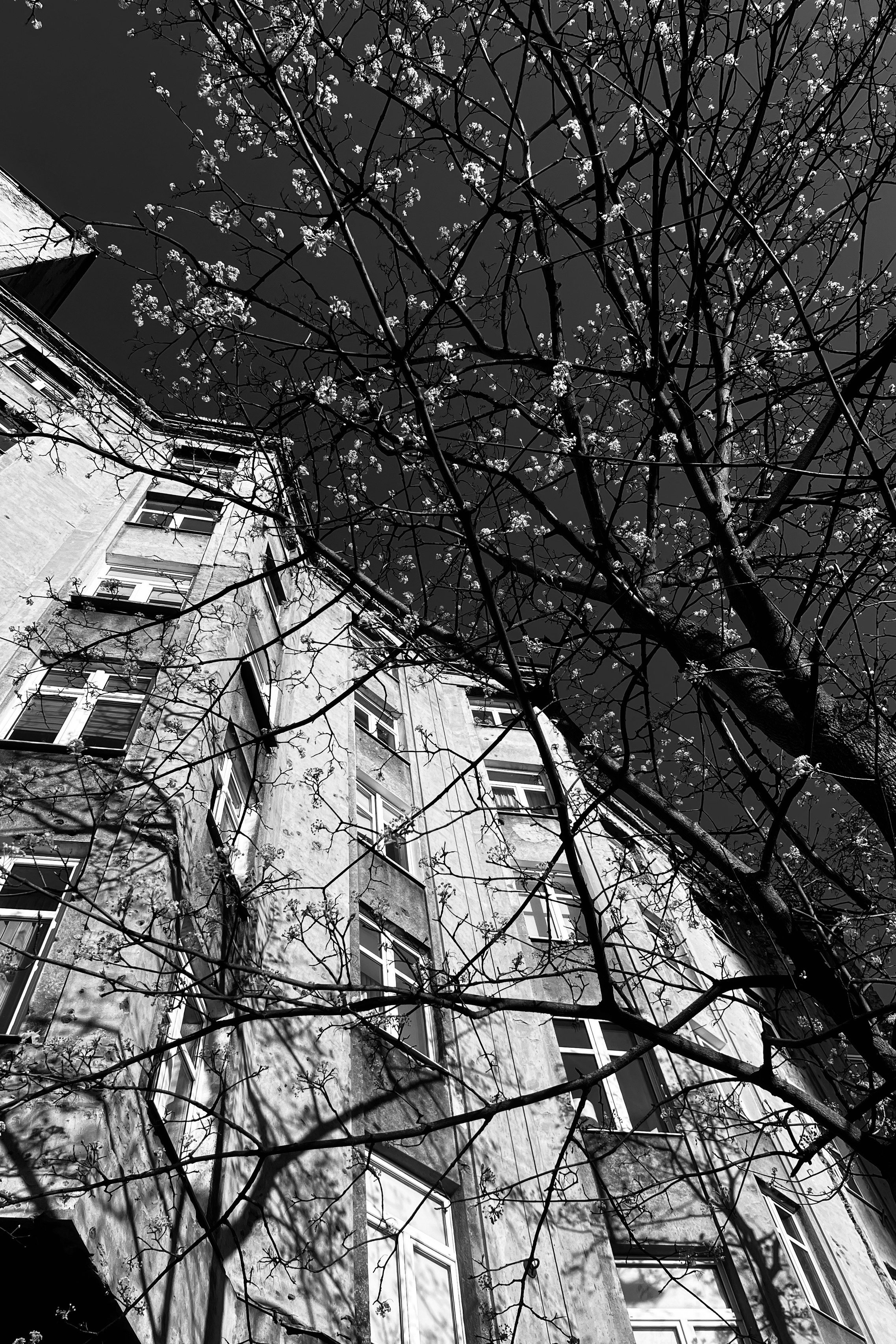 Miasto, które mijam. Olga Kępka-Peryt|Naturalna fotografia portretowa i lifestyle|Warszawa i okolice