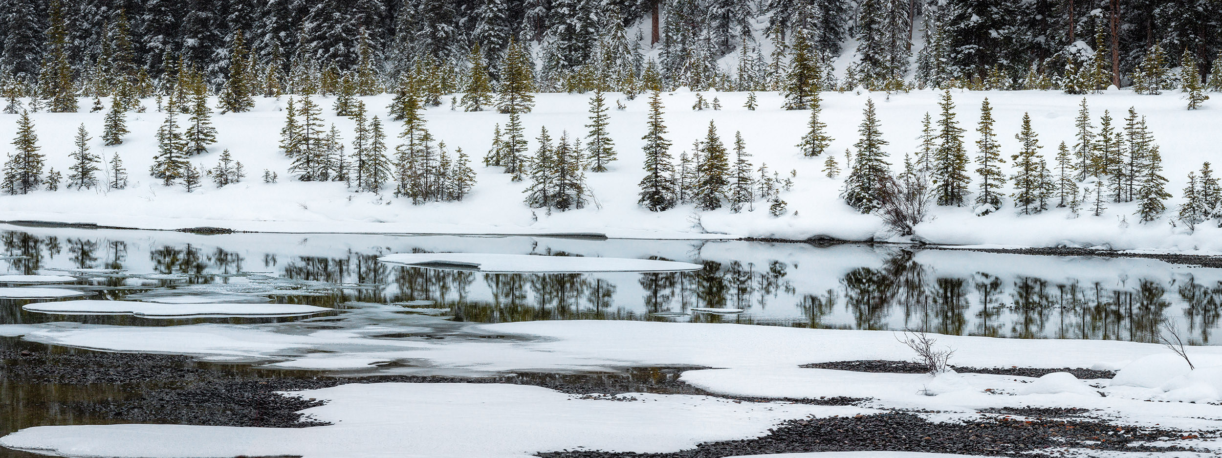Photographing Winter Wonderland — Canada. Pet, Senior, Landscape, portrait studio, photographer in Miami and Sou