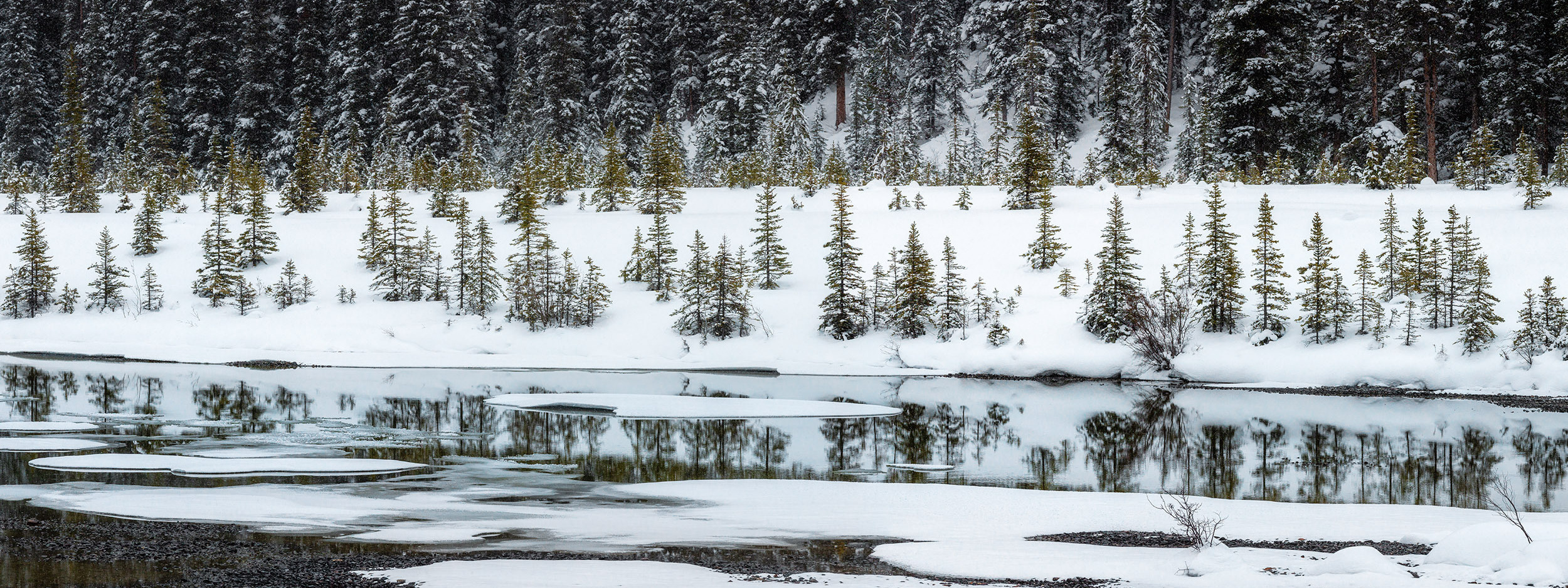 Canadian Winter Wonderland. Pet, Senior, Landscape, portrait studio, photographer in Miami and Sou