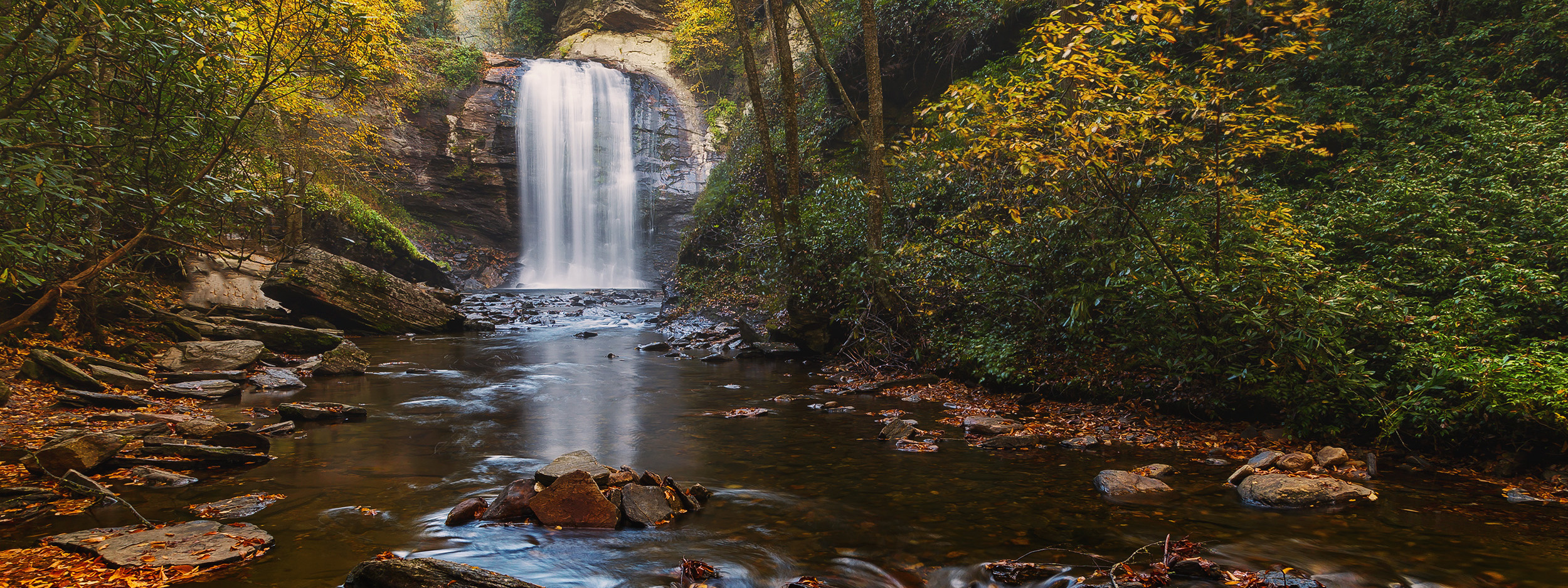 Fall in Great Smoky Mountains - Recommended Equipment. Pet, Senior, Landscape, portrait studio, photographer in Miami and Sou