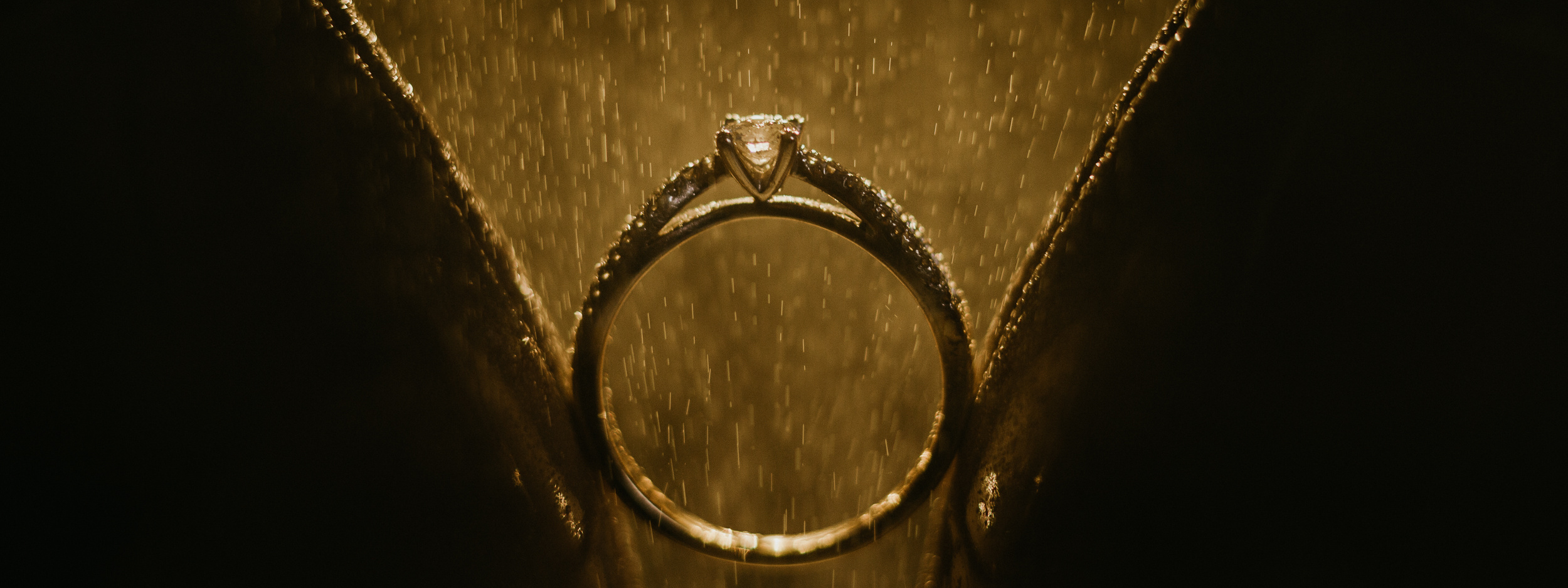 Цены на фотосесси в Гамурге Стоимость фотосессии. Elizaveta Romanova Fotografin in Hamburg