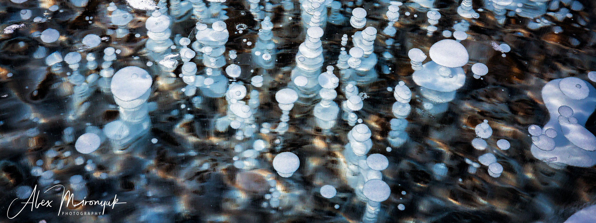 Зима в Альберте. Alex Mironyuk Photography