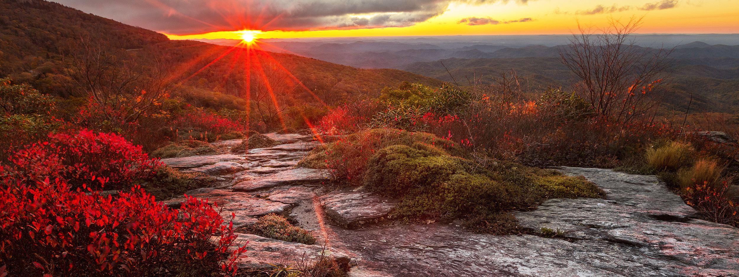 Fall in Great Smoky Mountains Terms and Conditions. Pet, Senior, Landscape, portrait studio, photographer in Miami and Sou