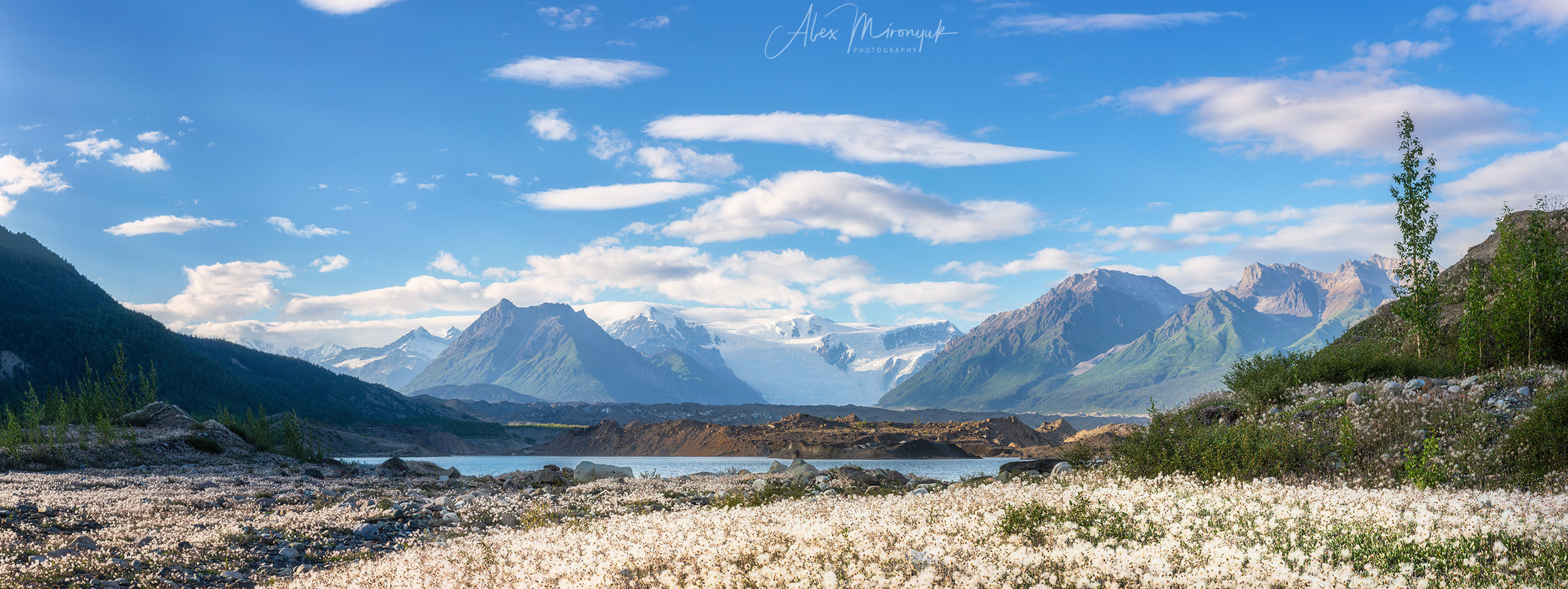 Magnificent Ice. Alaska on RV. Pet, Senior, Landscape, portrait studio, photographer in Miami and Sou