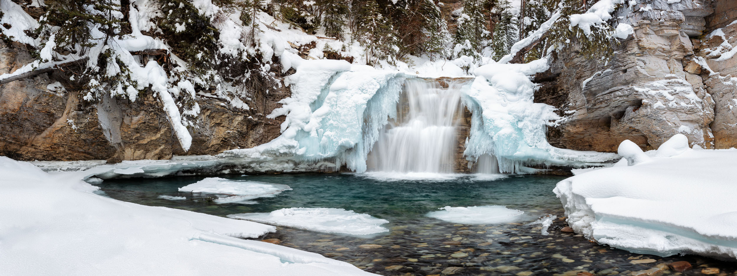 Canadian Winter Wonderland. Pet, Senior, Landscape, portrait studio, photographer in Miami and Sou