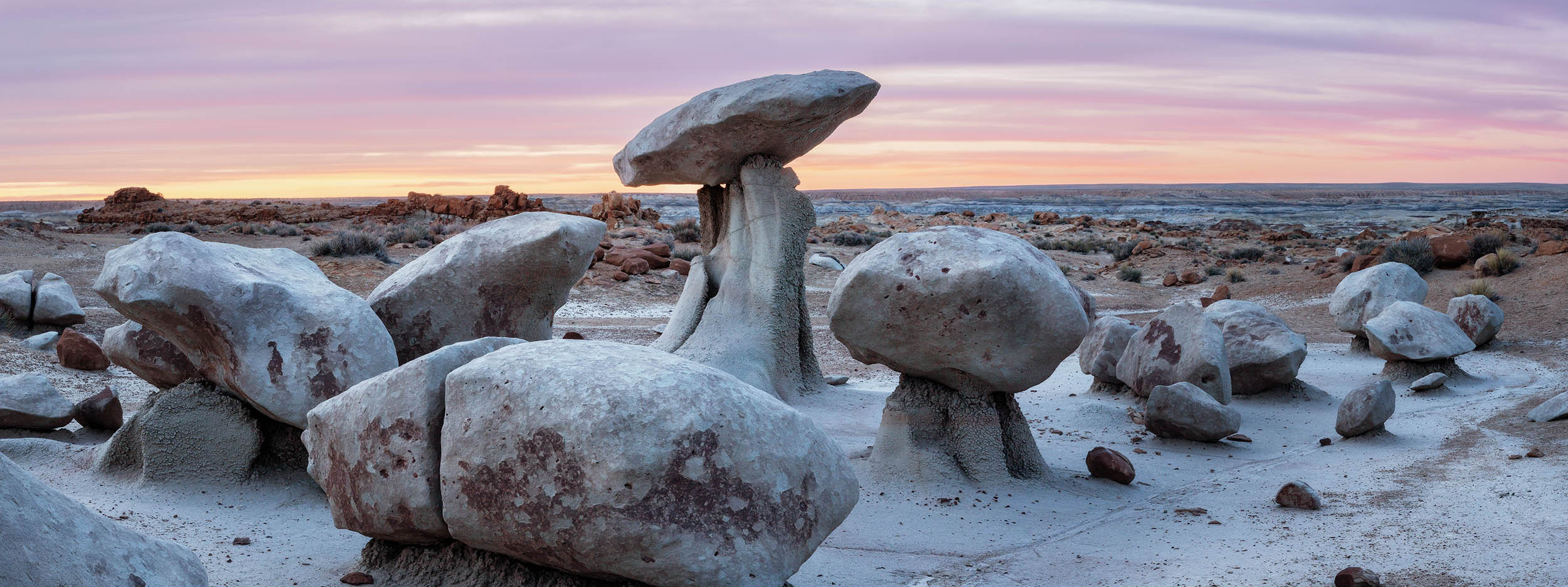 The Best of New Mexico. Pet, Senior, Landscape, portrait studio, photographer in Miami and Sou